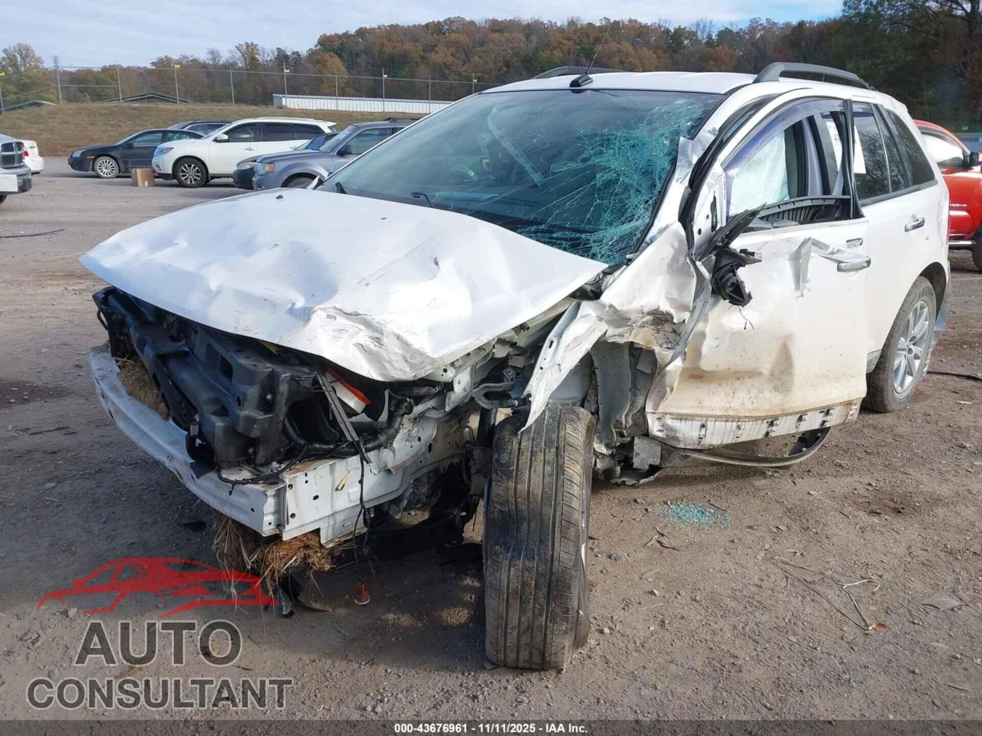 FORD EDGE 2011 - 2FMDK3JCXBBB31200