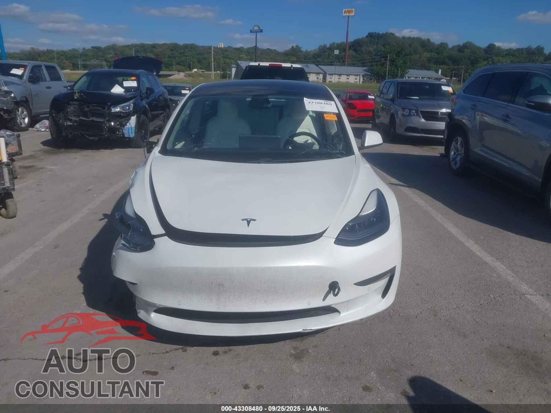 TESLA MODEL 3 2021 - 5YJ3E1EB4MF079484
