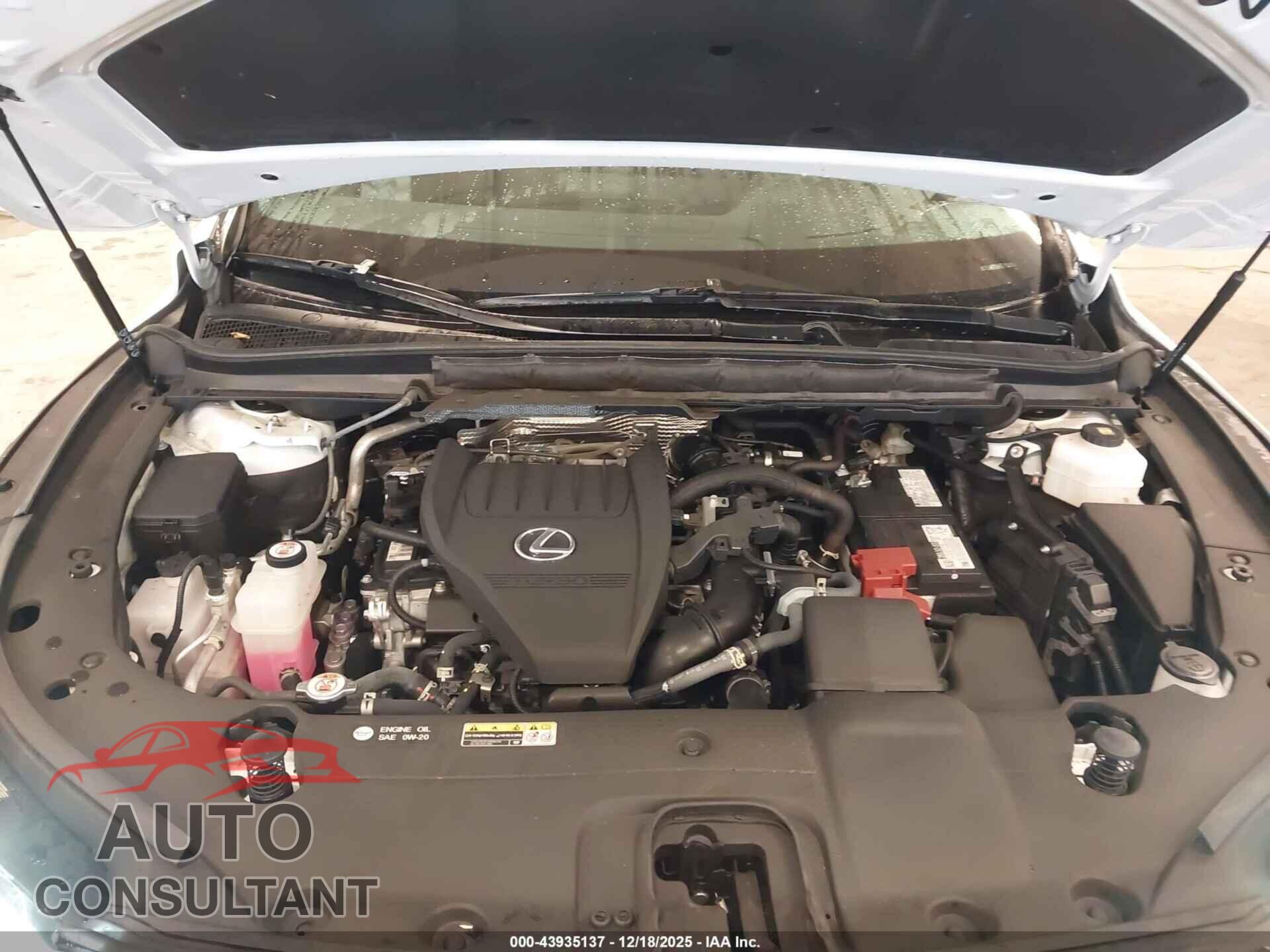 LEXUS RX 350 2024 - 2T2BAMCA5RC068875