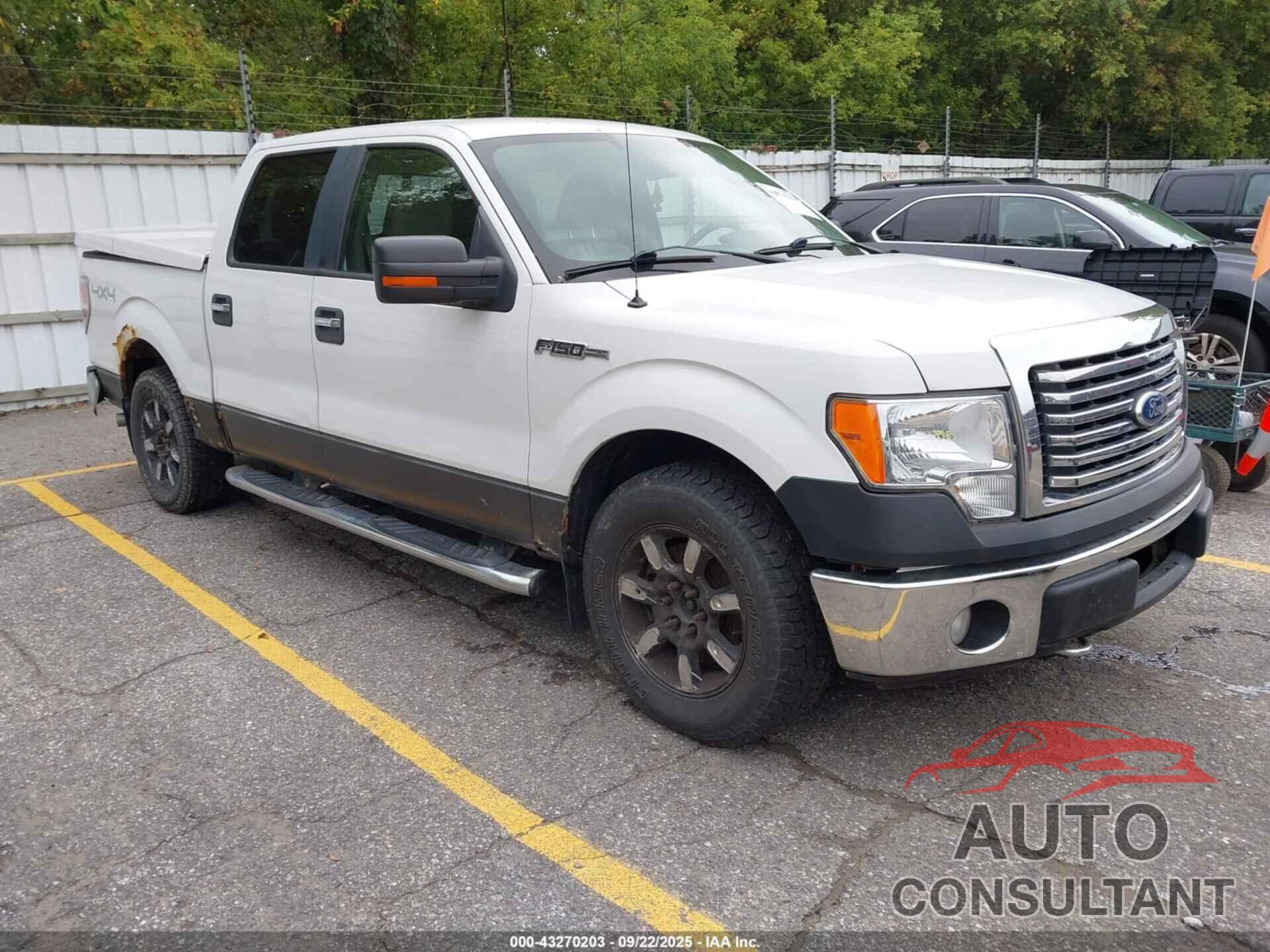 FORD F-150 2010 - 1FTFW1EV0AFD31825