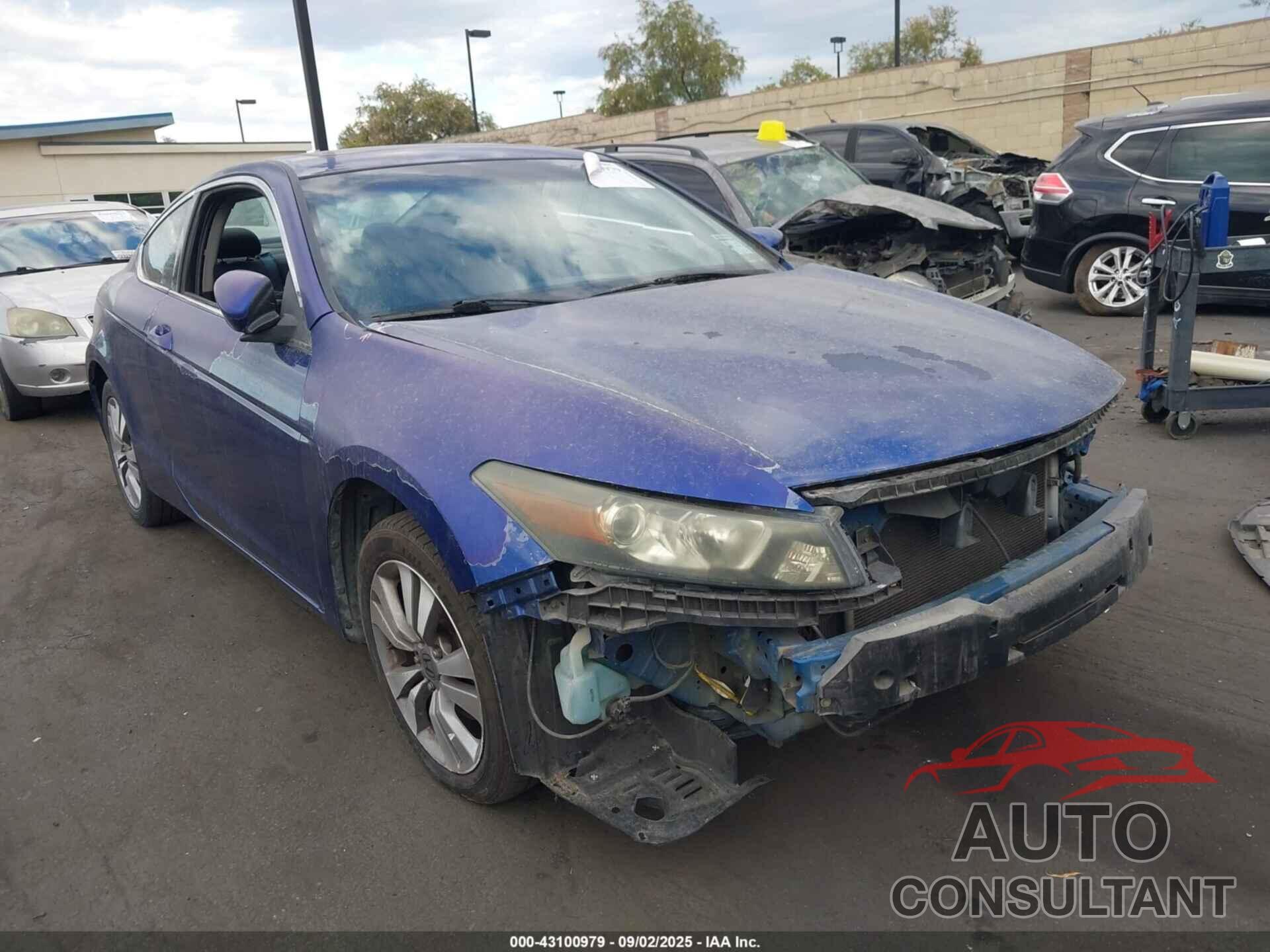 HONDA ACCORD 2010 - 1HGCS1B87AA006603