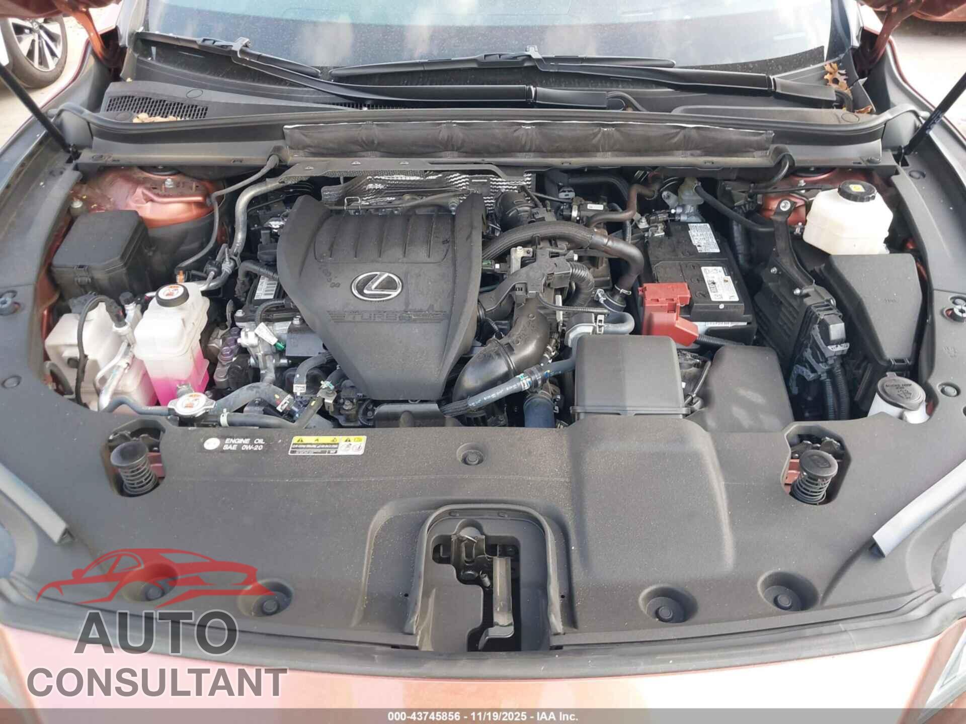 LEXUS RX 350 2023 - 2T2BAMBA5PC002017