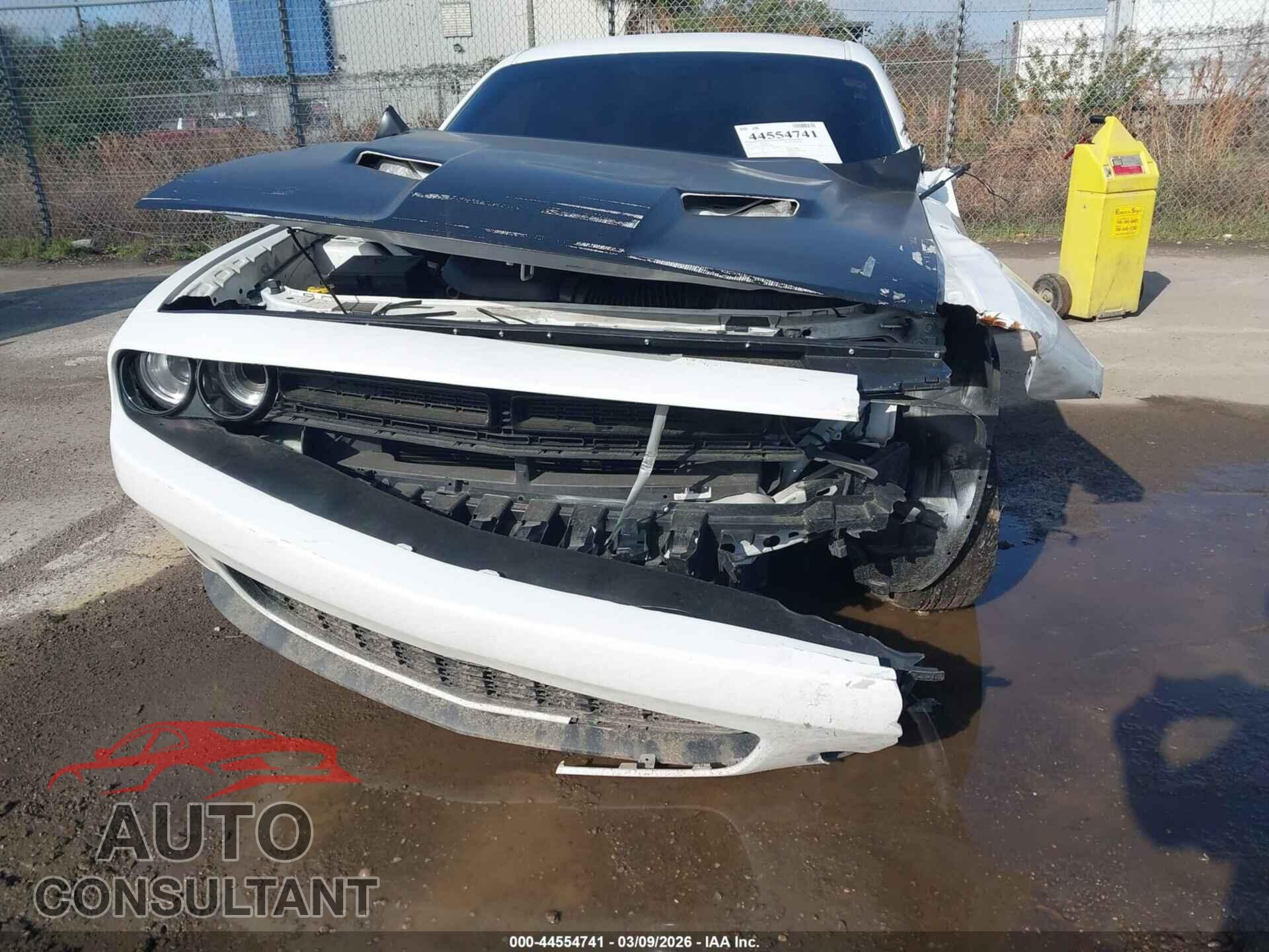 DODGE CHALLENGER 2019 - 2C3CDZAG9KH551483