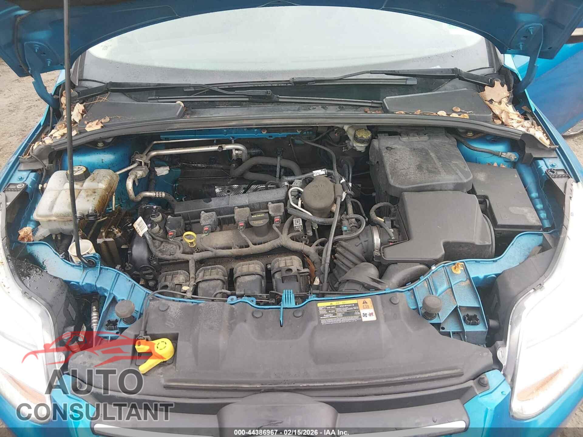 FORD FOCUS 2013 - 1FADP3K20DL293910
