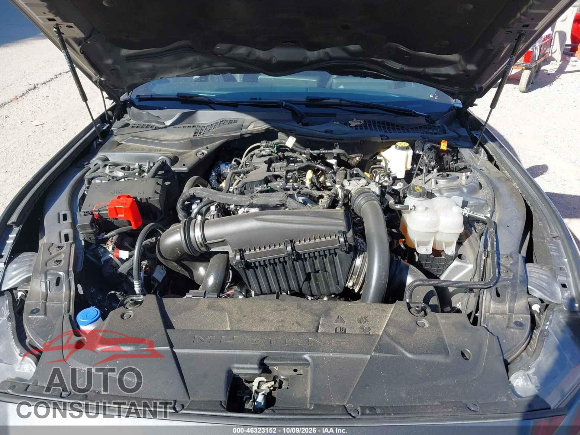 FORD MUSTANG 2026 - 1FA6P8TH3T5115775