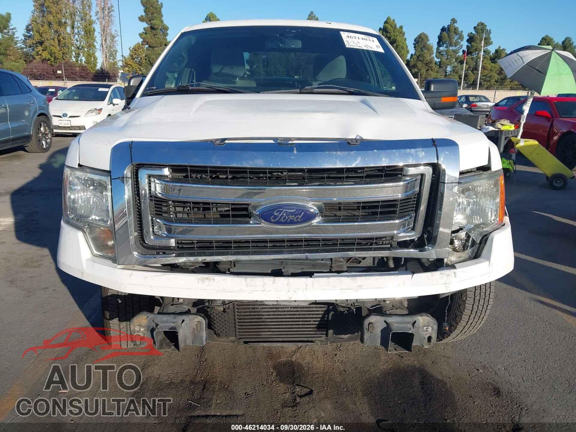 FORD F-150 2013 - 1FTFX1CT9DFD04321