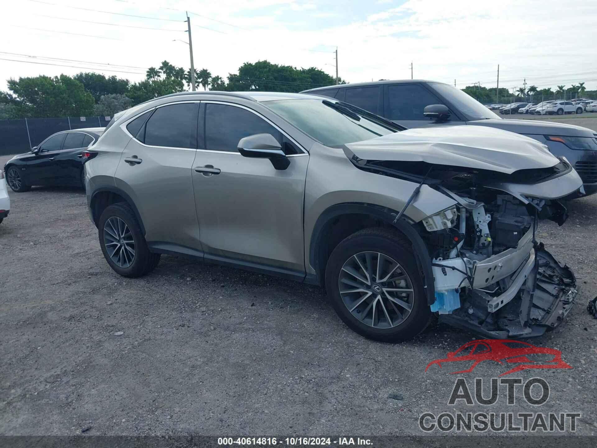 LEXUS NX 250 2024 - 2T2ADCAZ3RC007935
