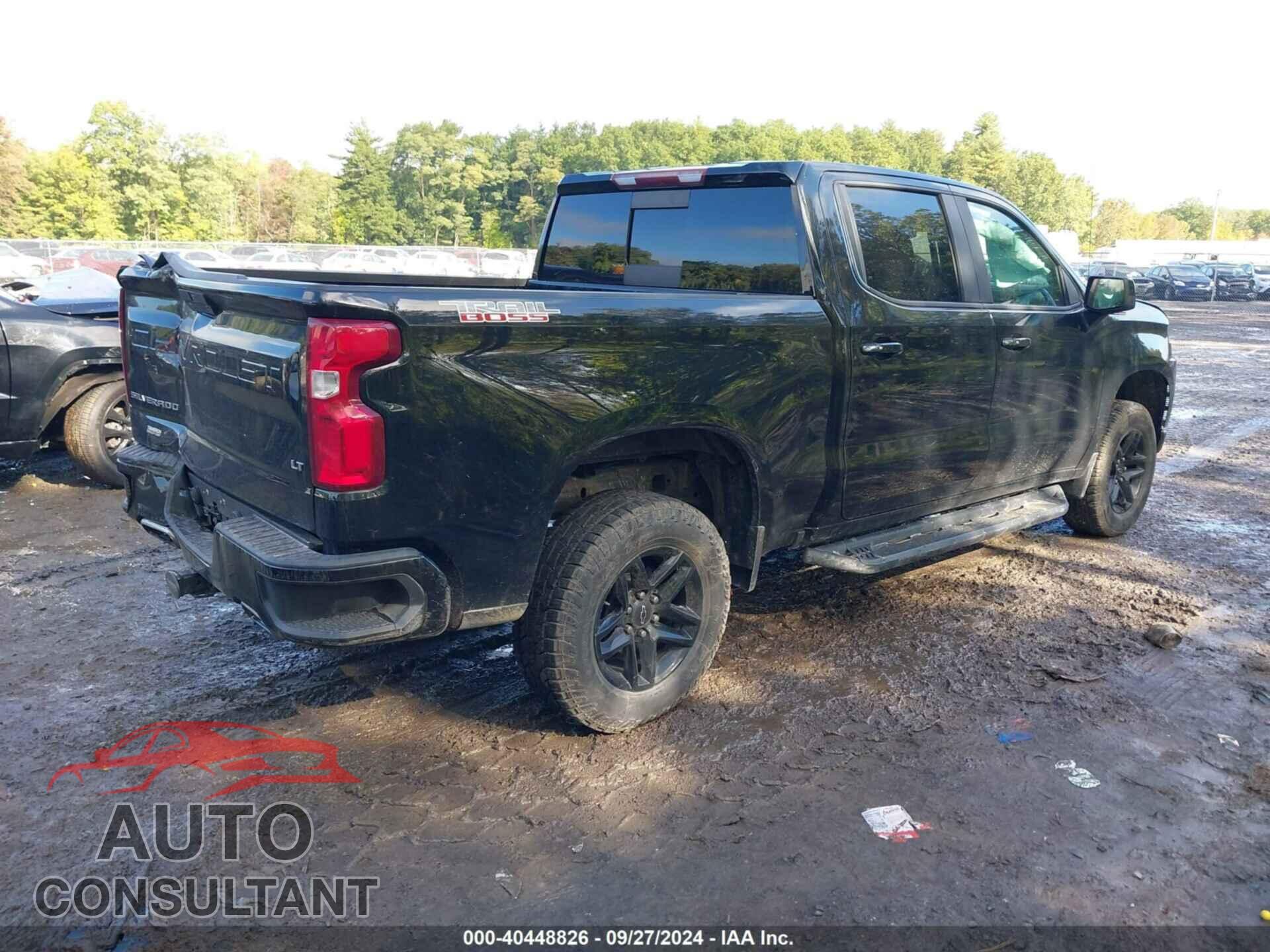 CHEVROLET SILVERADO 1500 2019 - 1GCPYFED4KZ362014