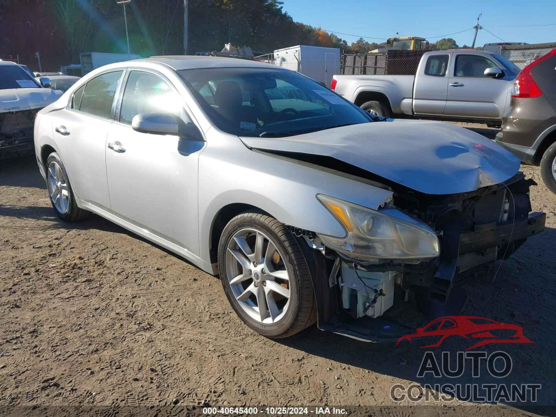 NISSAN MAXIMA 2009 - 1N4AA51E59C808547