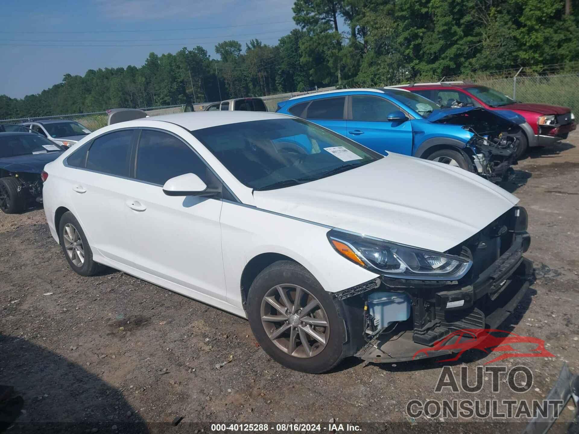 HYUNDAI SONATA 2019 - 5NPE24AF7KH745327