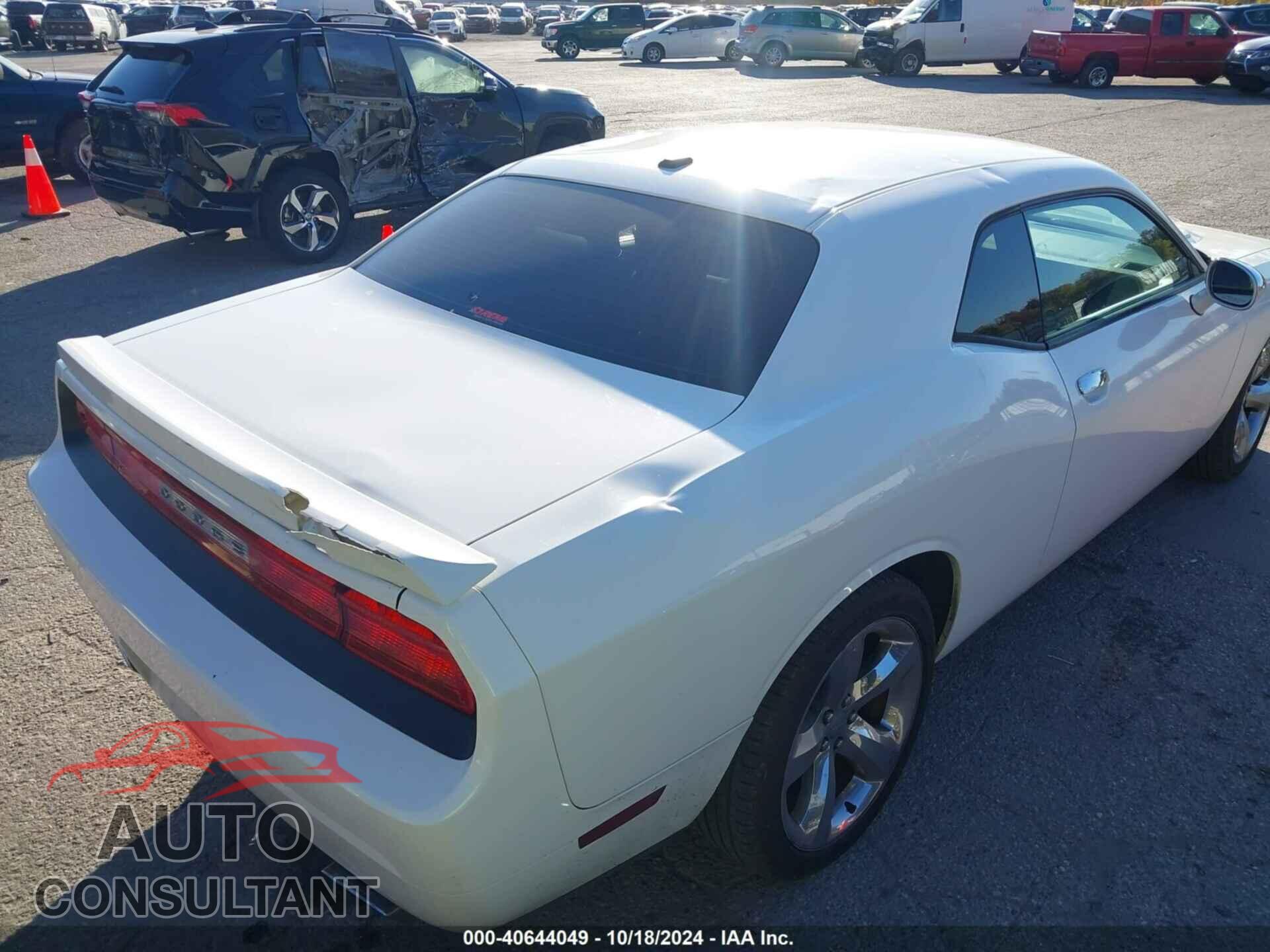 DODGE CHALLENGER 2013 - 2C3CDYBTXDH705272