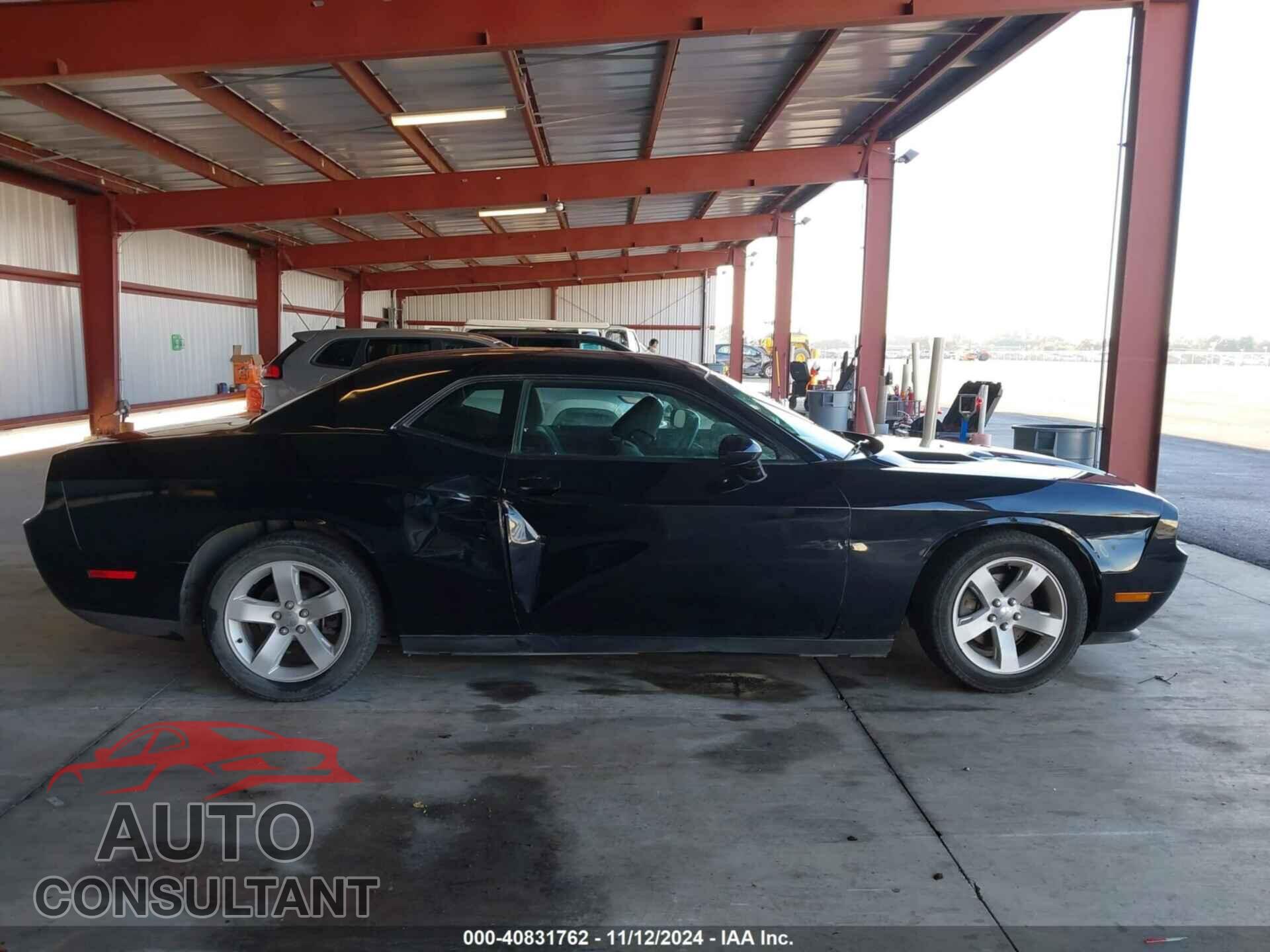 DODGE CHALLENGER 2013 - 2C3CDYAG3DH510702
