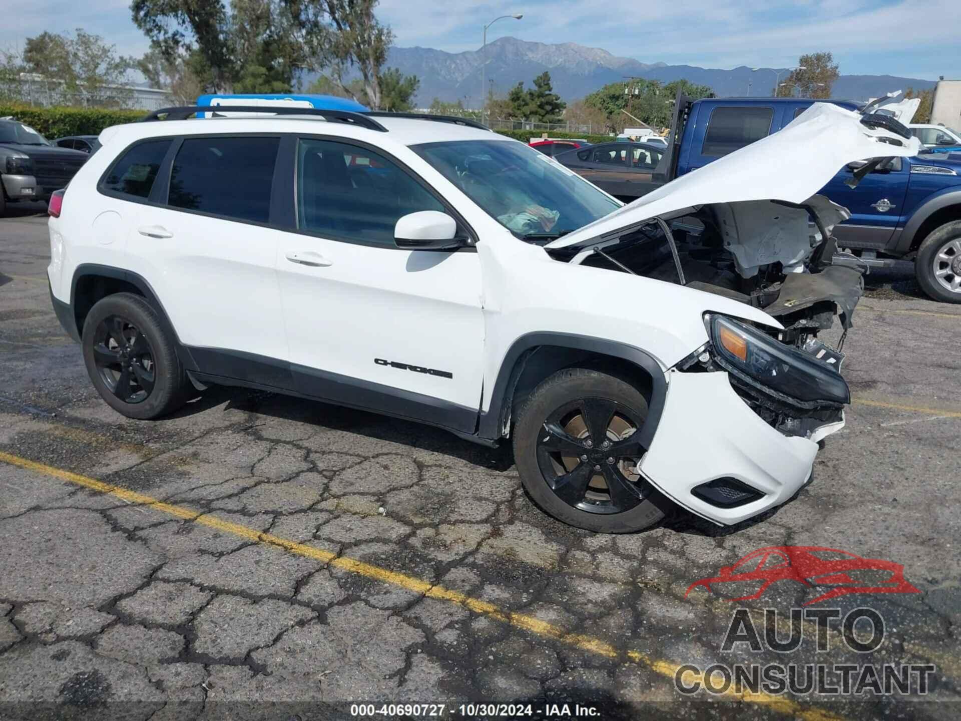 JEEP CHEROKEE 2021 - 1C4PJMLB6MD157160