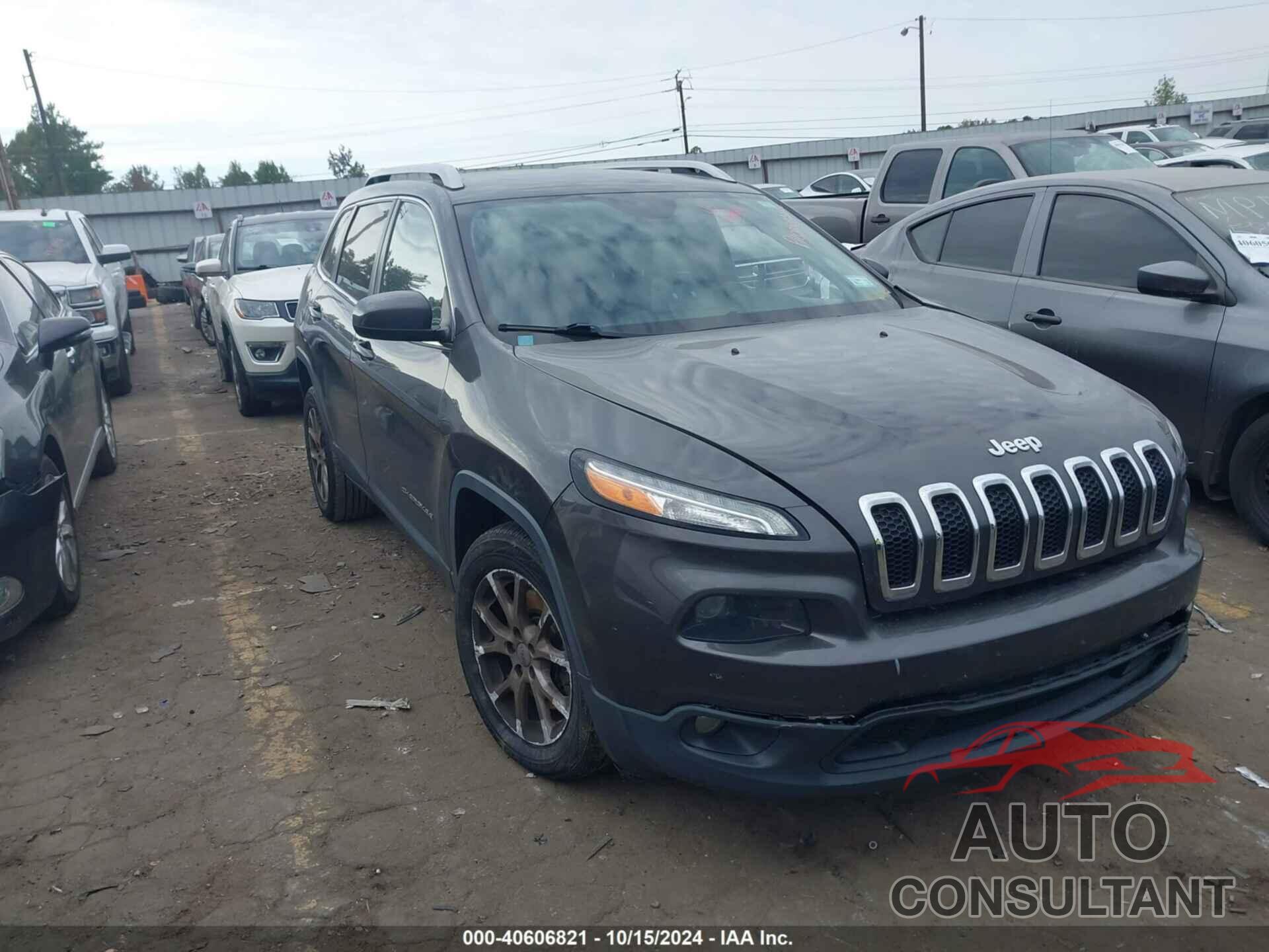 JEEP CHEROKEE 2016 - 1C4PJLCB4GW138156