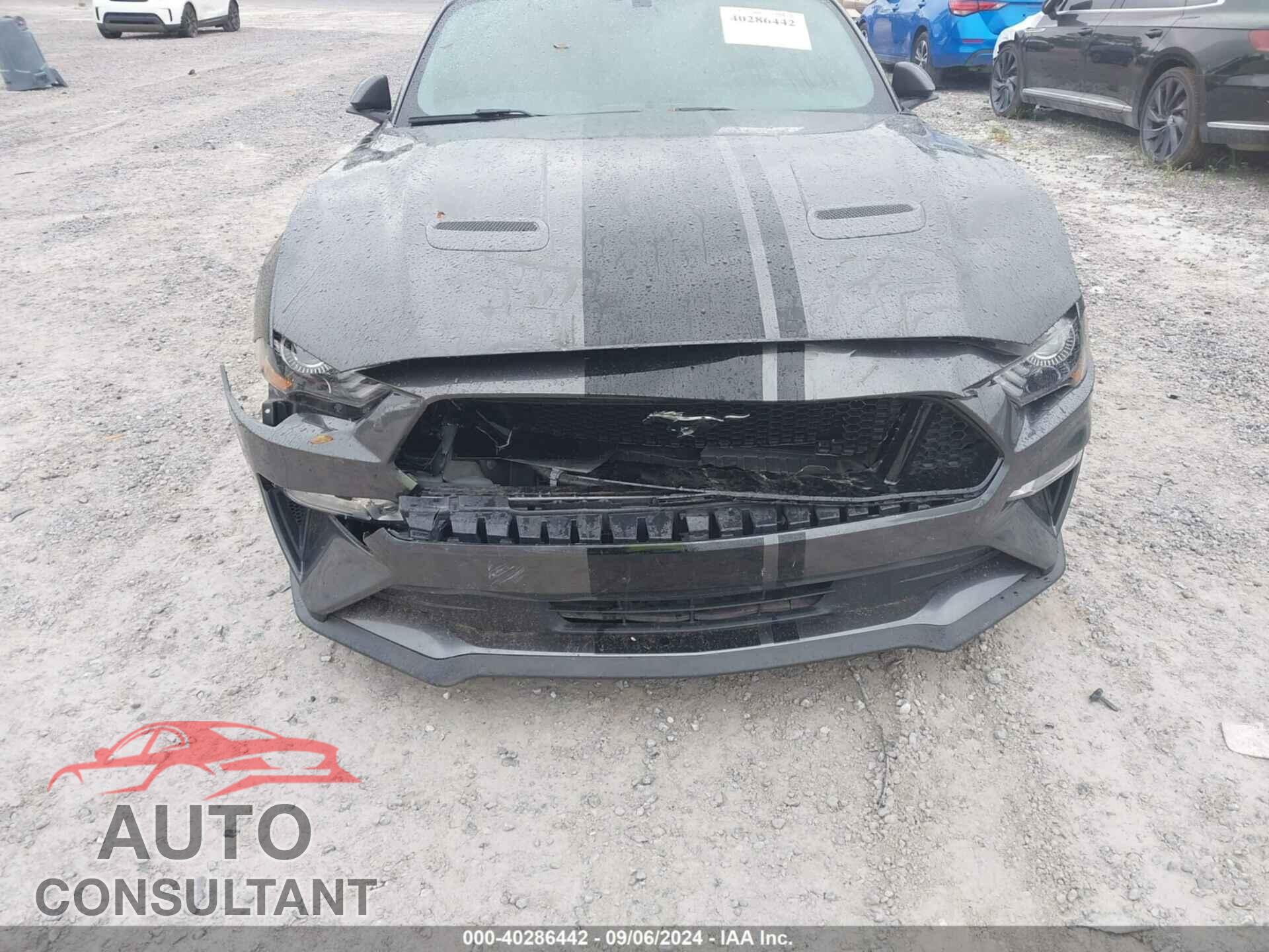 FORD MUSTANG 2019 - 1FA6P8CF8K5163608