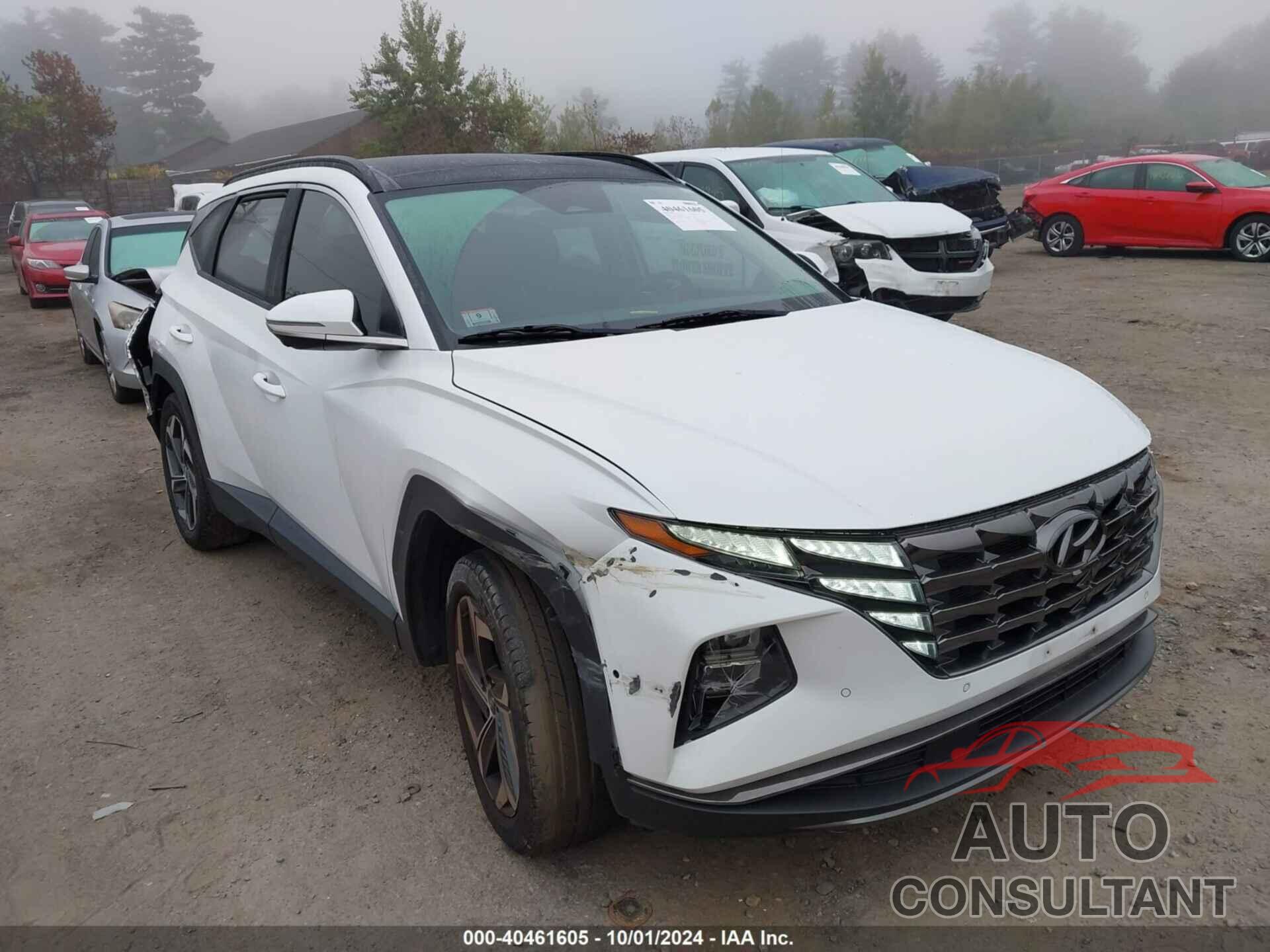 HYUNDAI TUCSON 2022 - 5NMJECAE8NH036530