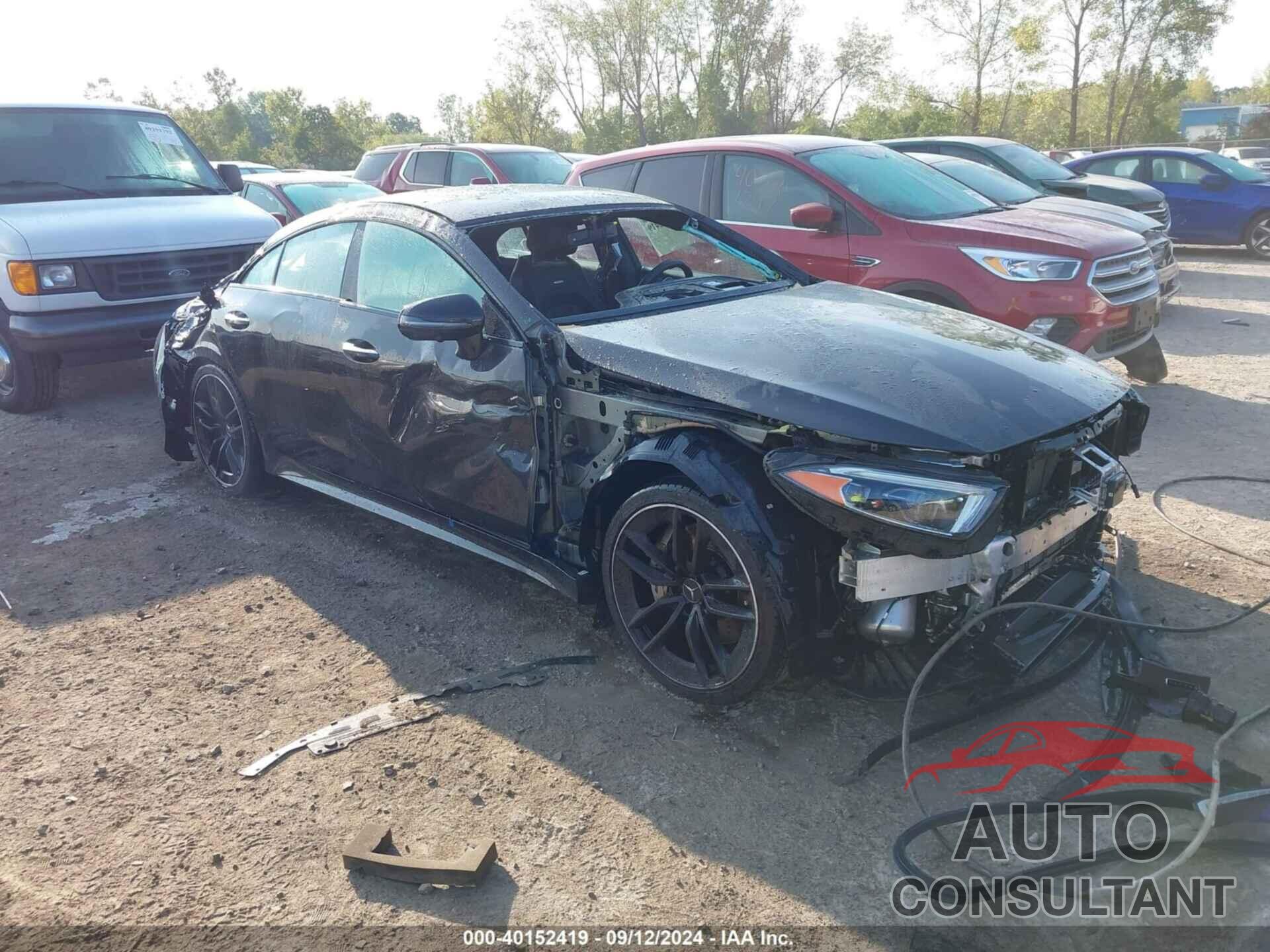 MERCEDES-BENZ AMG CLS 53 2019 - WDD2J6BB4KA018950