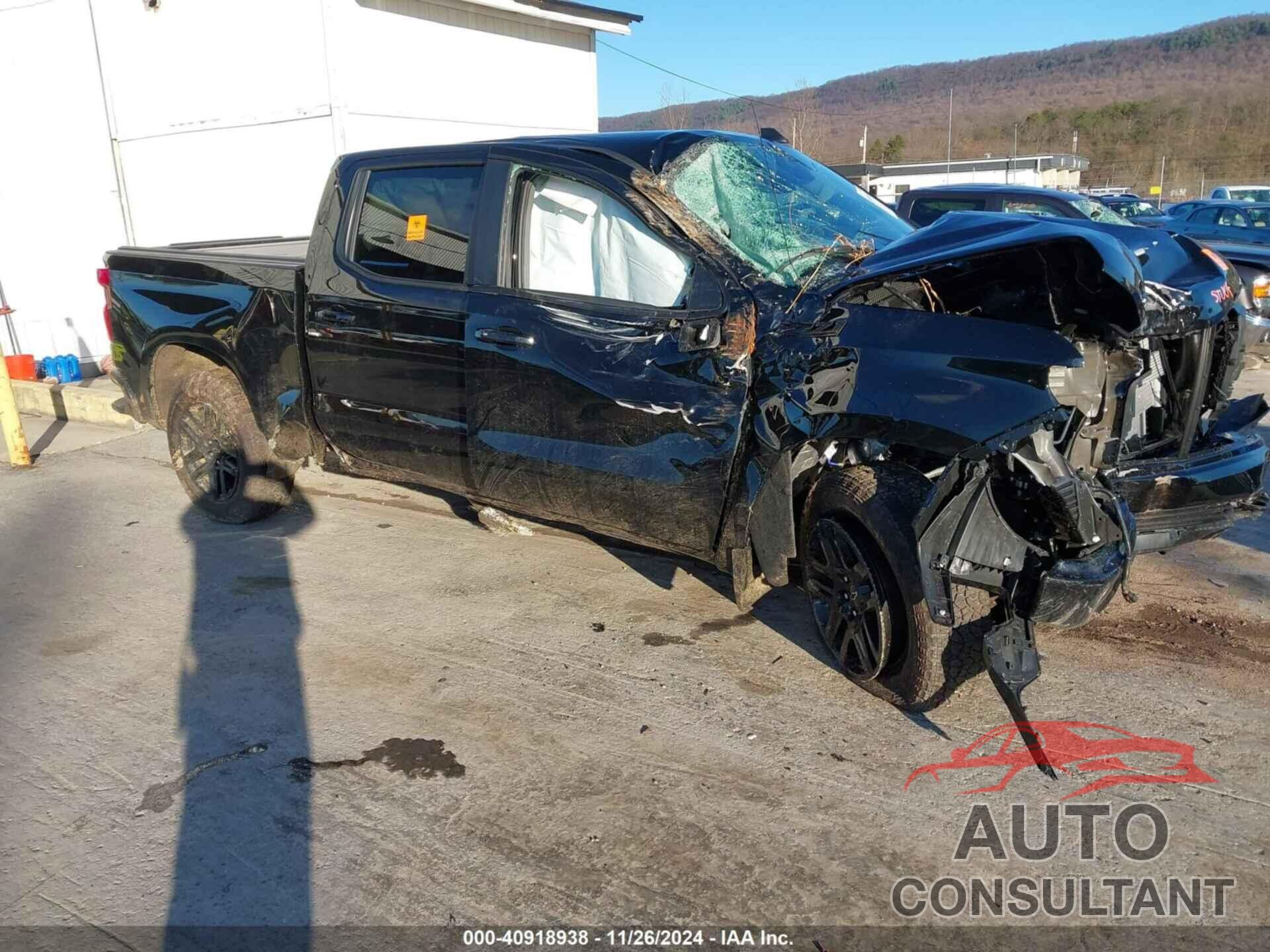 CHEVROLET SILVERADO 1500 2024 - 2GCUDEED5R1216300
