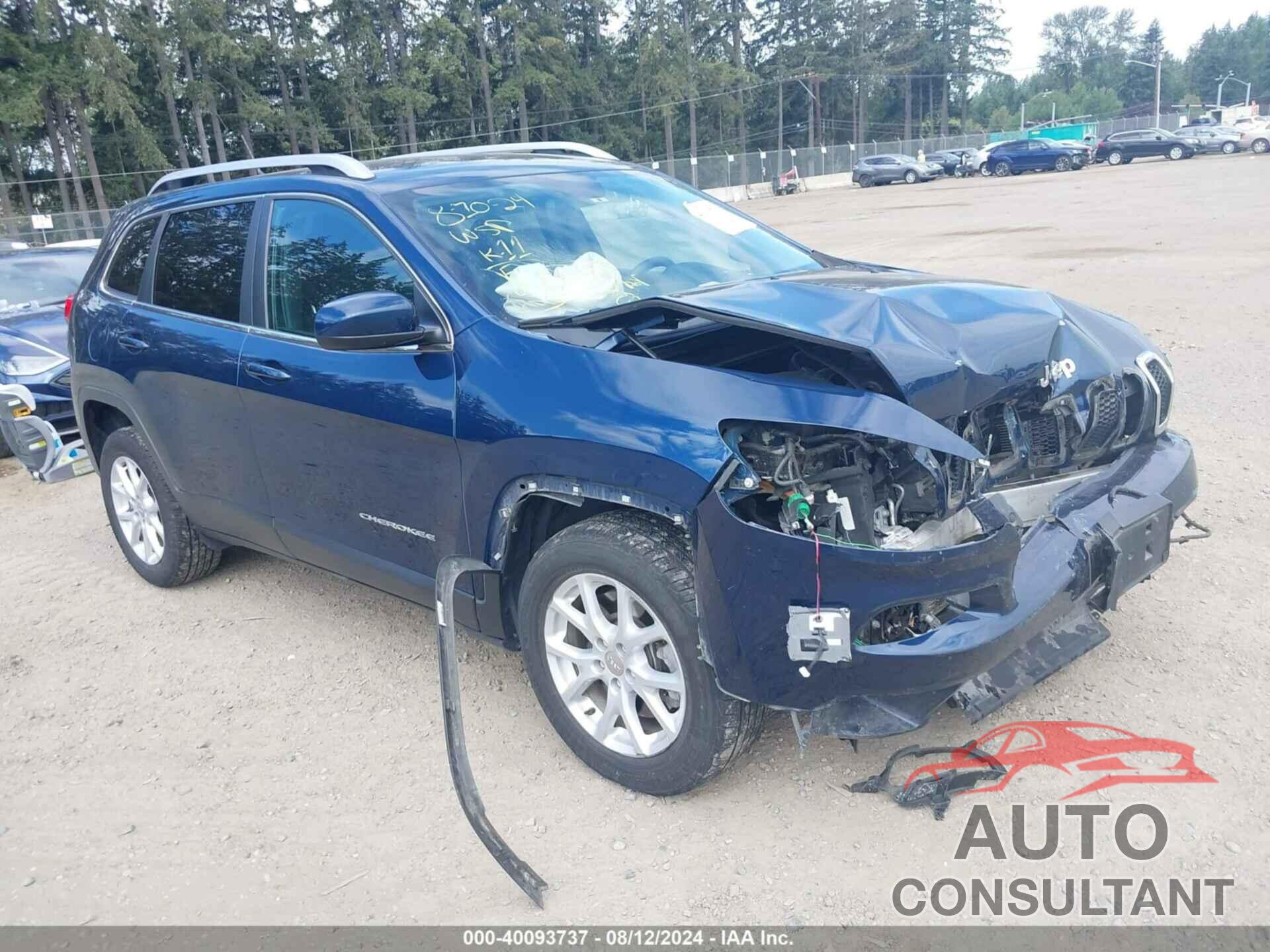 JEEP CHEROKEE 2018 - 1C4PJLCB6JD563087