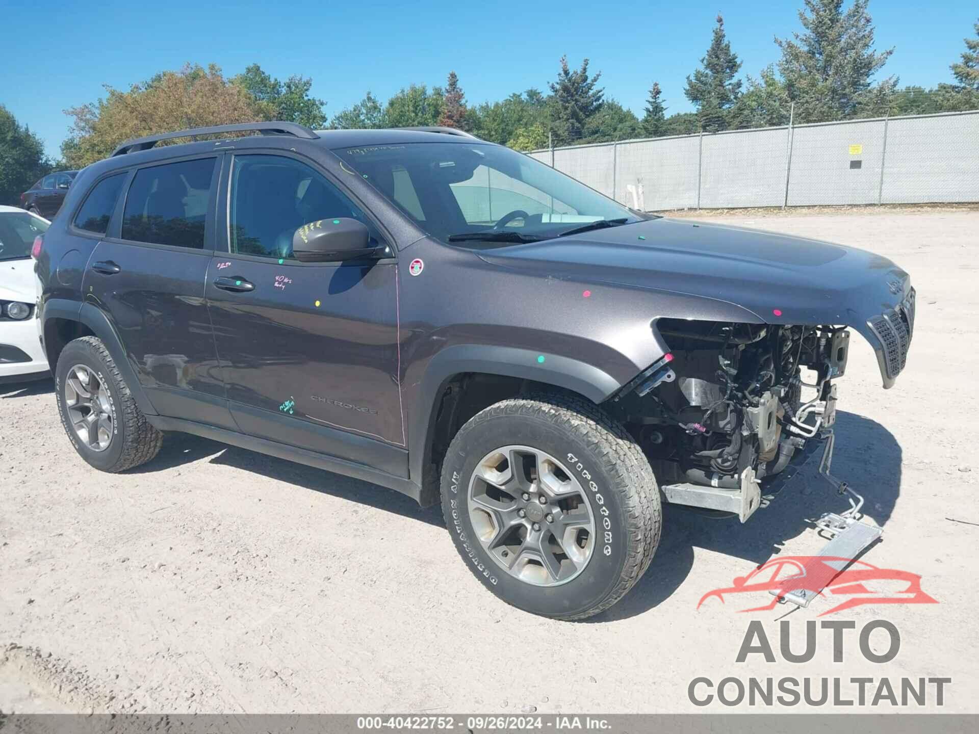 JEEP CHEROKEE 2019 - 1C4PJMBX9KD471539