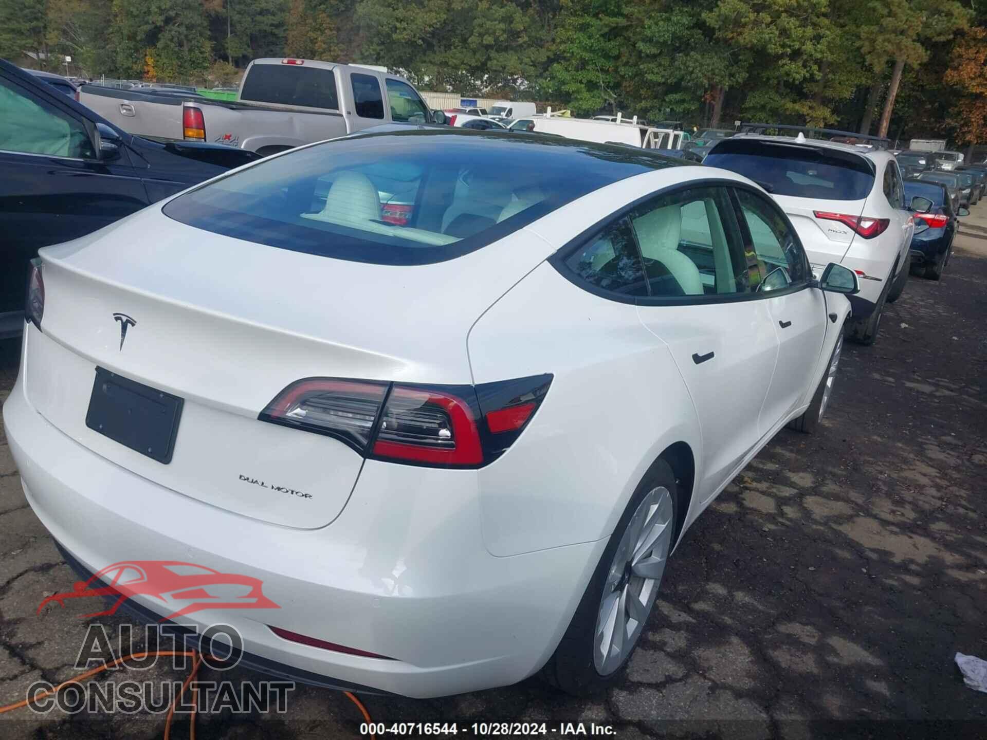 TESLA MODEL 3 2021 - 5YJ3E1EB6MF061231