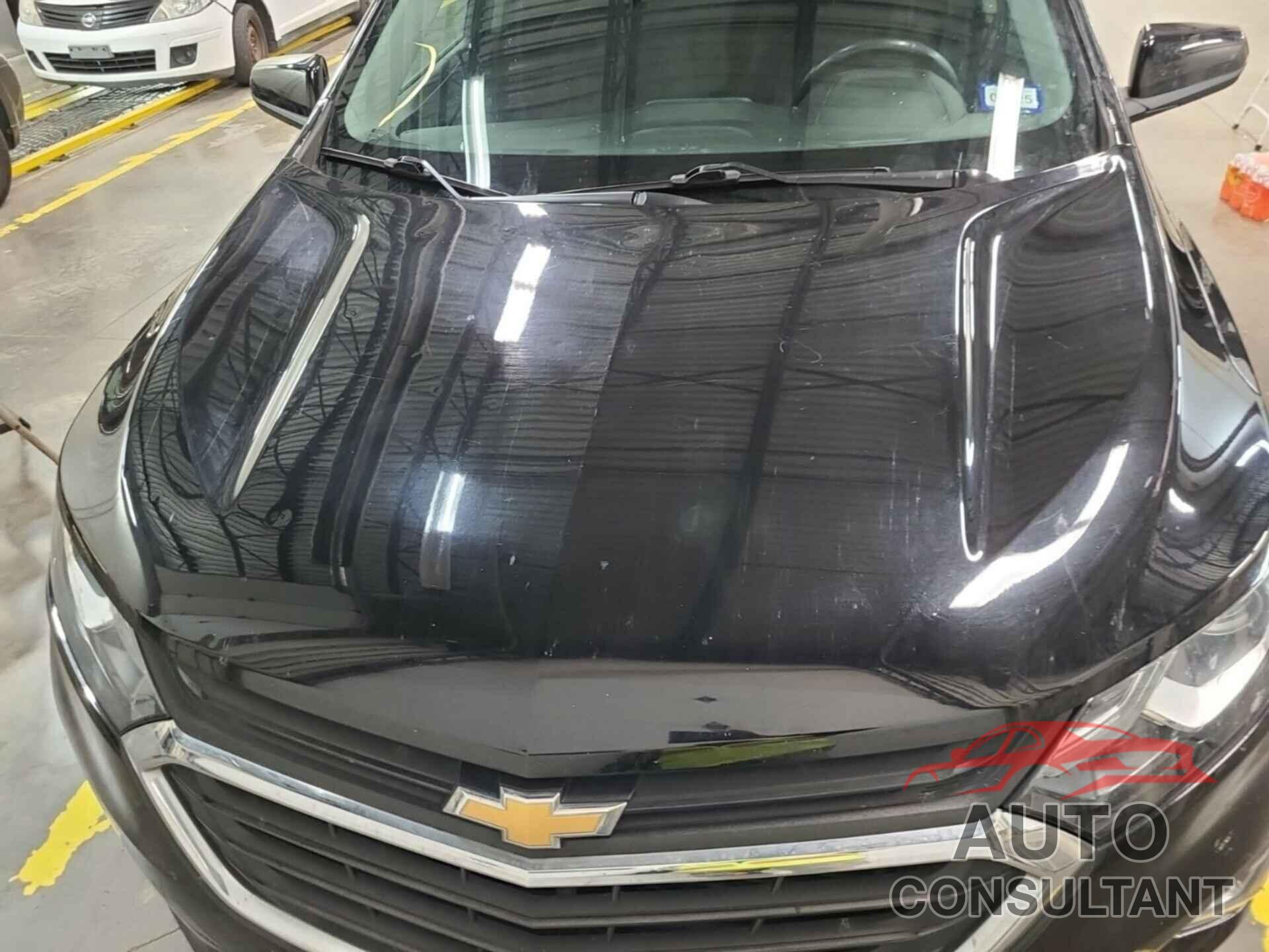 CHEVROLET EQUINOX 2019 - 2GNAXJEV0K6260183