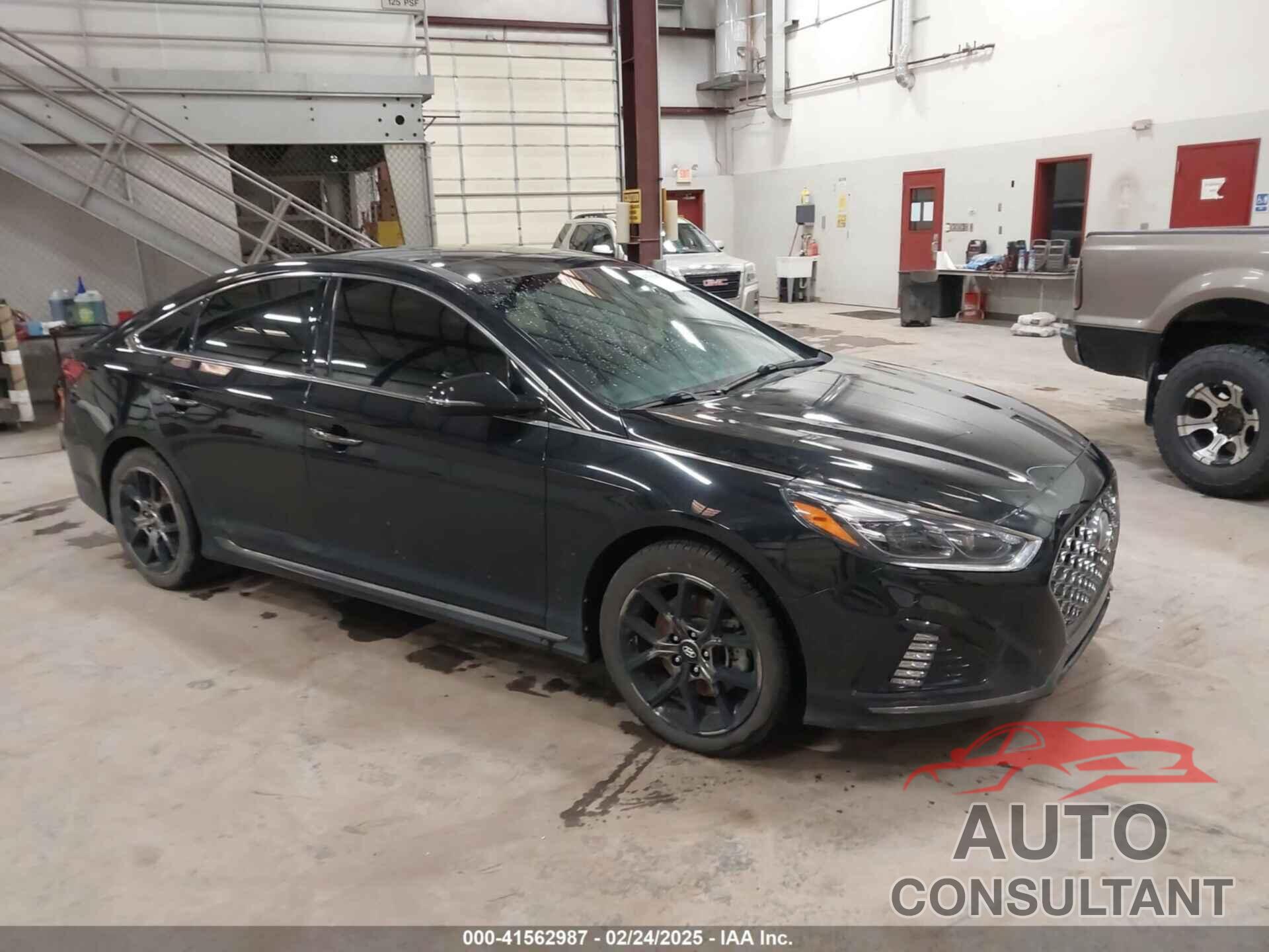 HYUNDAI SONATA 2019 - 5NPE34AB2KH809896