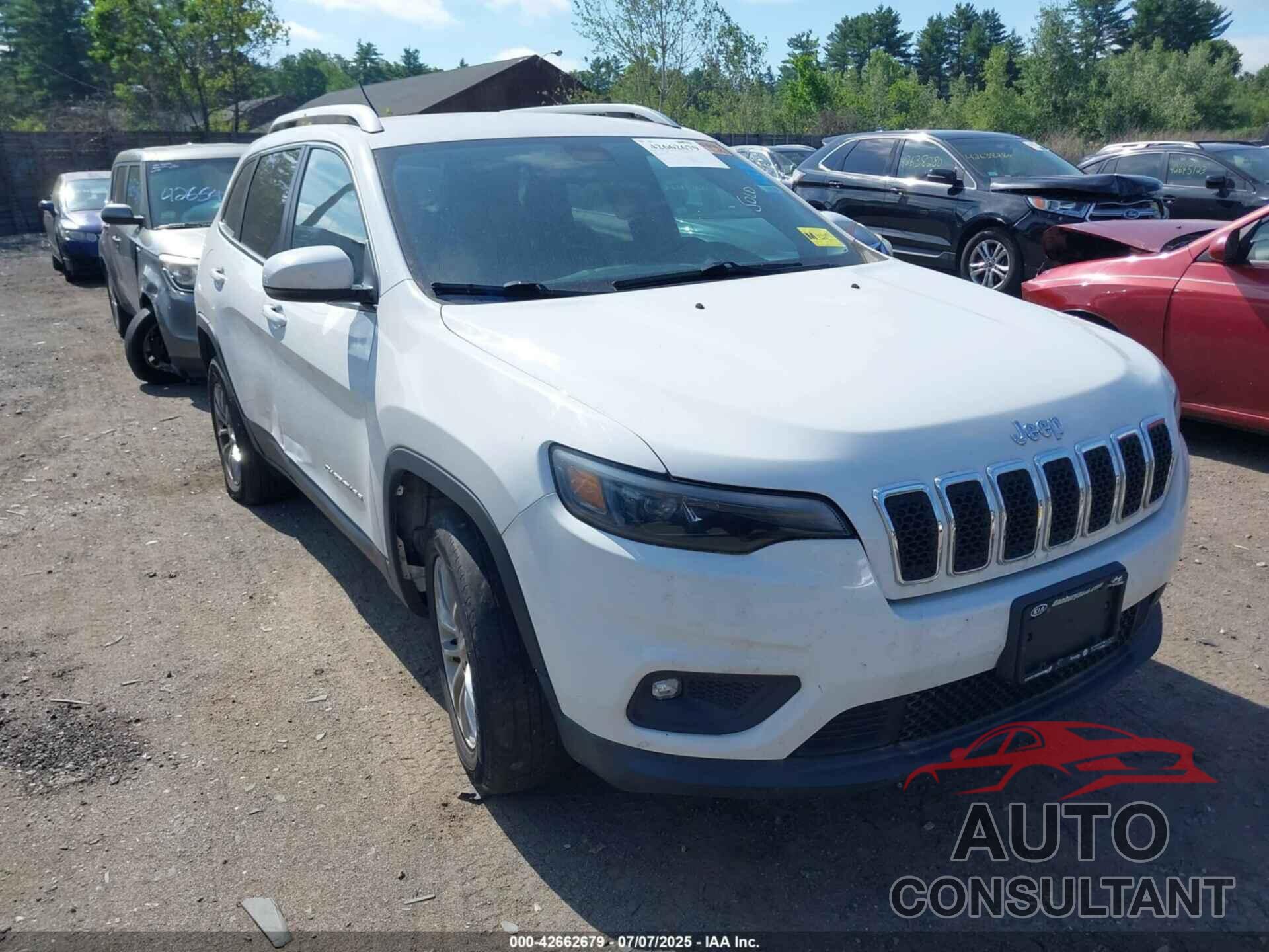 JEEP CHEROKEE 2019 - 1C4PJMLNXKD272707