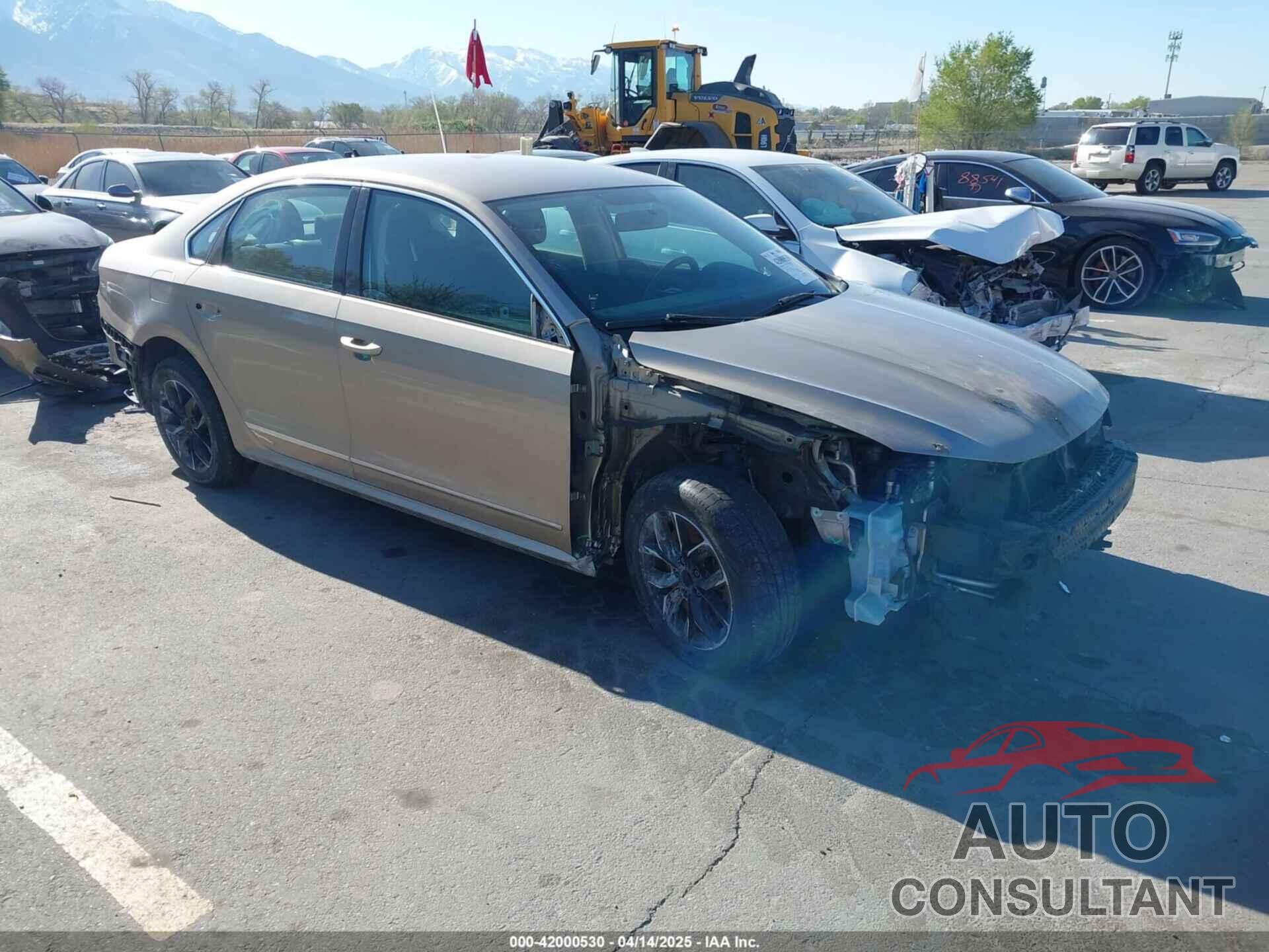 VOLKSWAGEN PASSAT 2016 - 1VWAT7A33GC018687