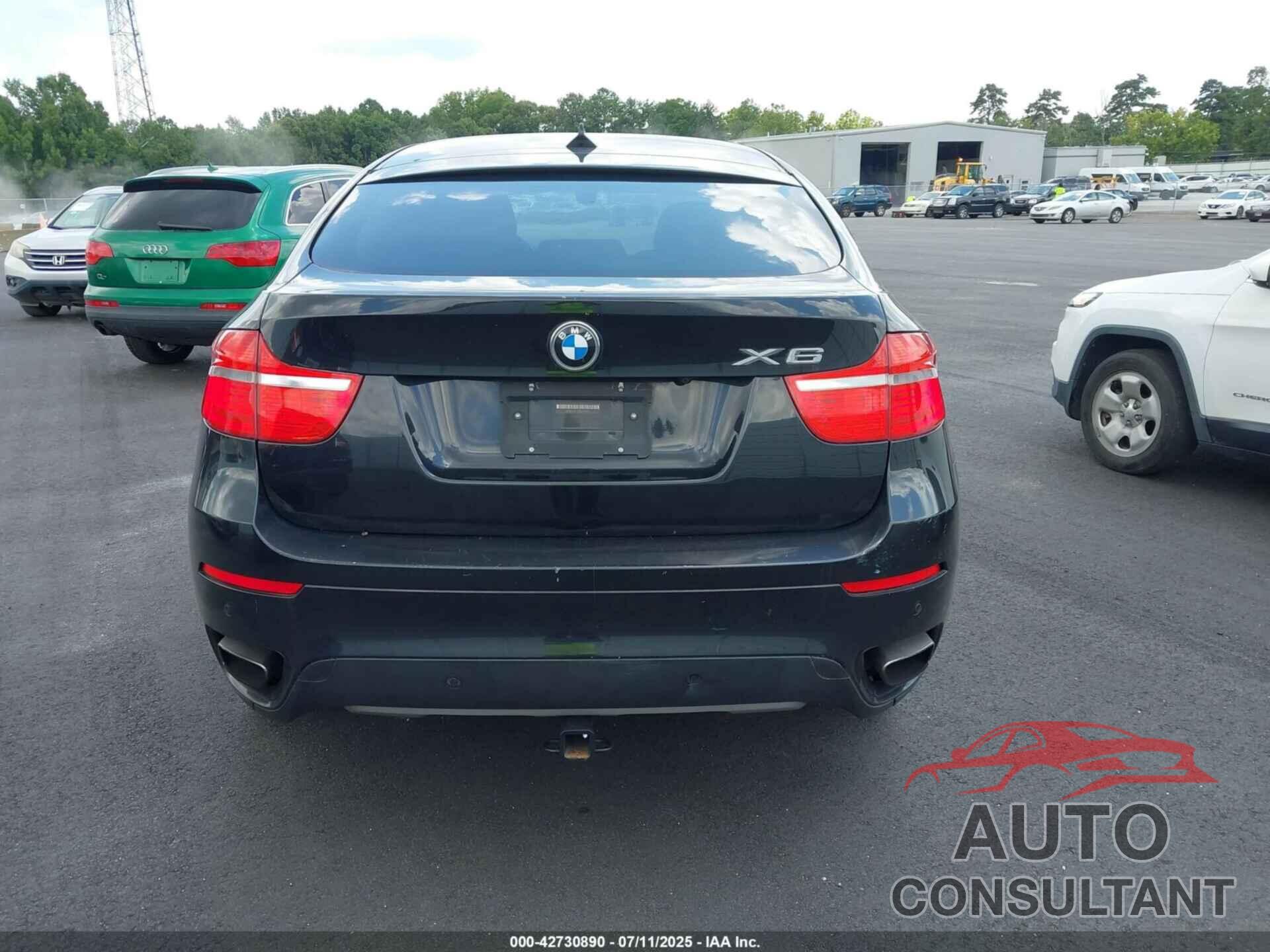 BMW X6 2012 - 5UXFG8C50CLZ97076