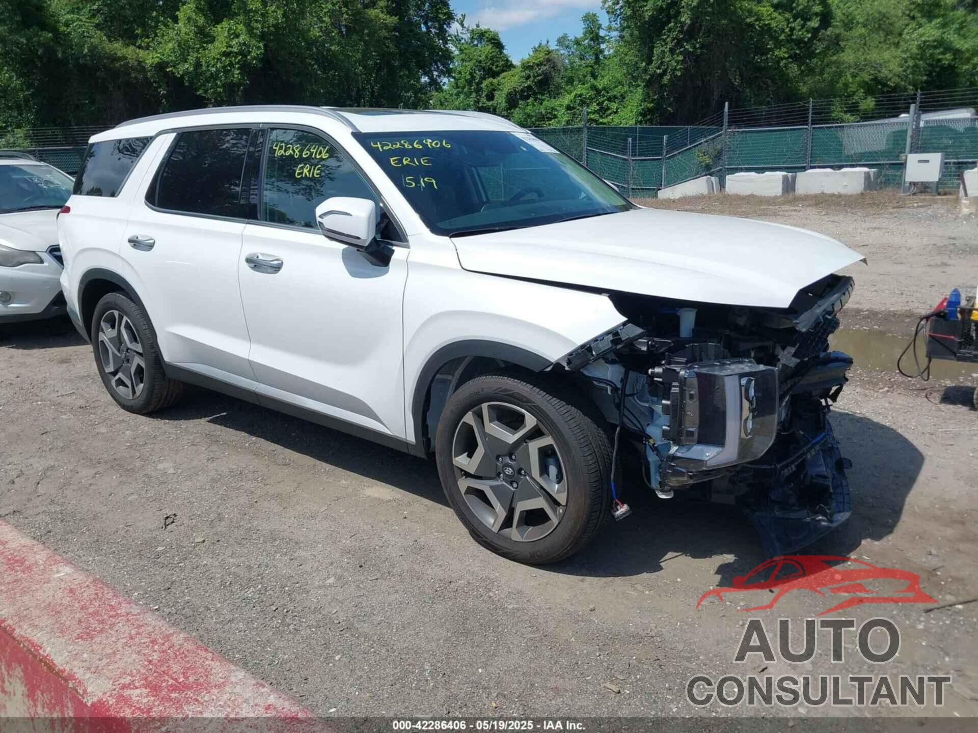 HYUNDAI PALISADE 2025 - KM8R5DGE4SU811132
