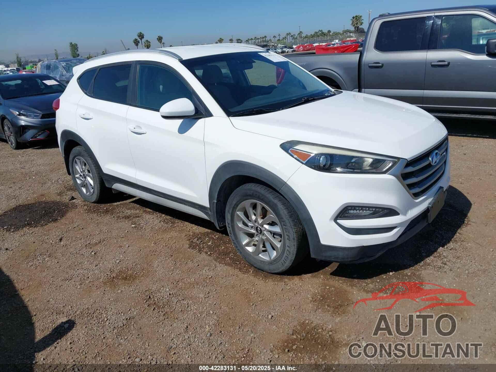 HYUNDAI TUCSON 2017 - KM8J3CA43HU566474