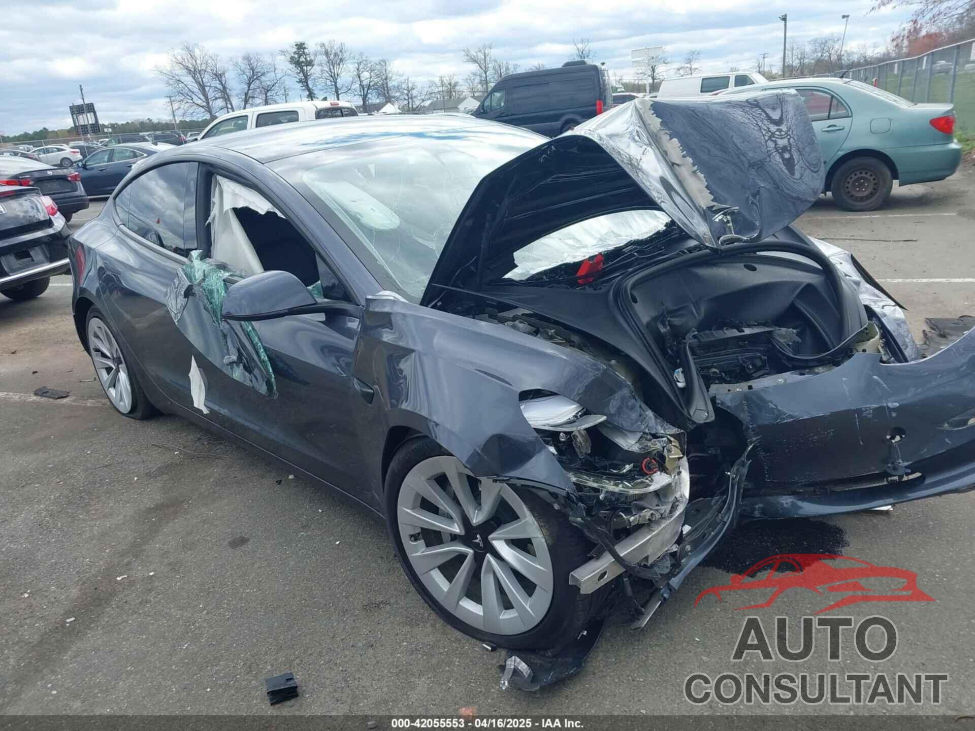 TESLA MODEL 3 2021 - 5YJ3E1EBXMF975045