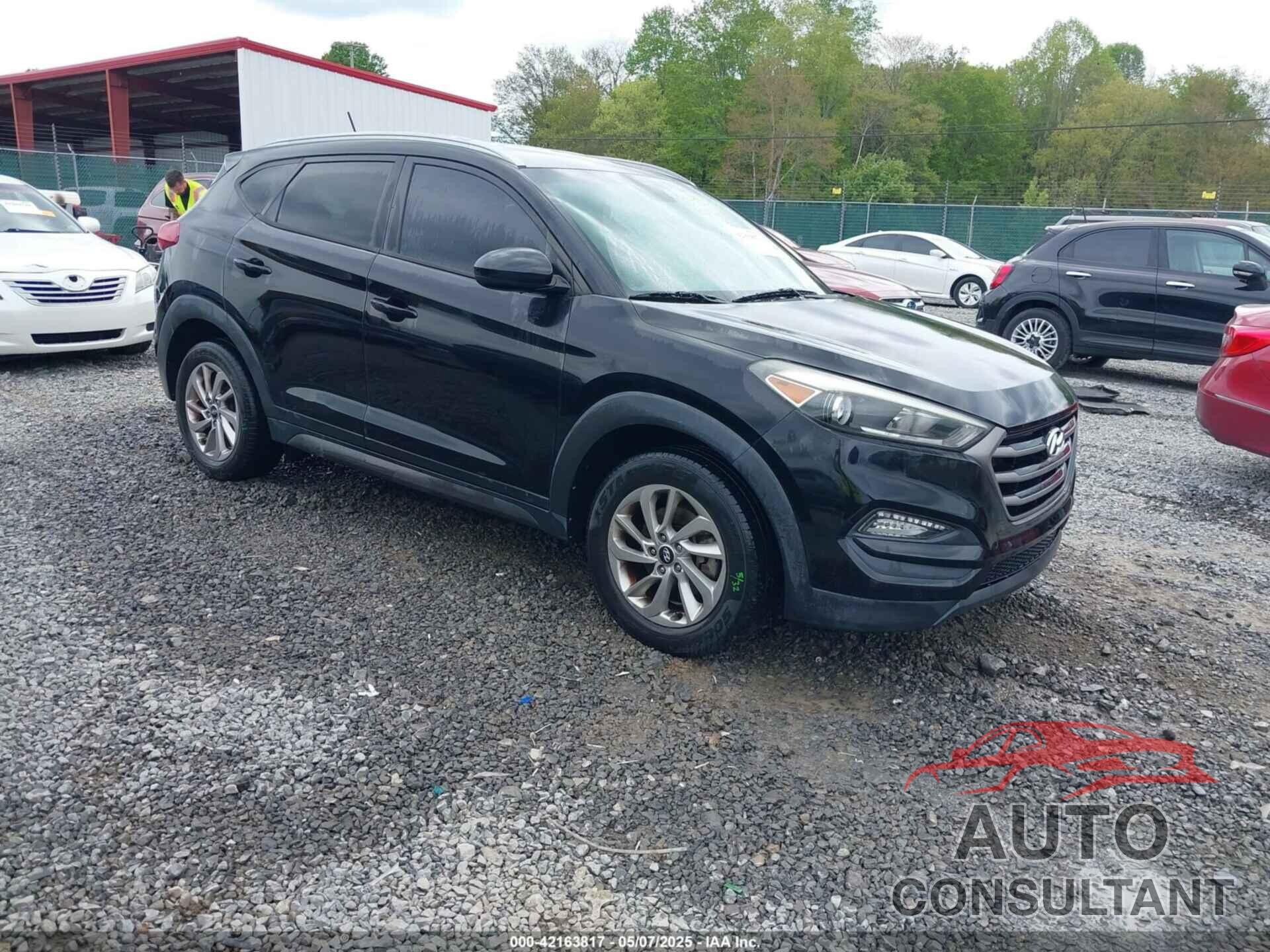 HYUNDAI TUCSON 2016 - KM8J33A48GU056023