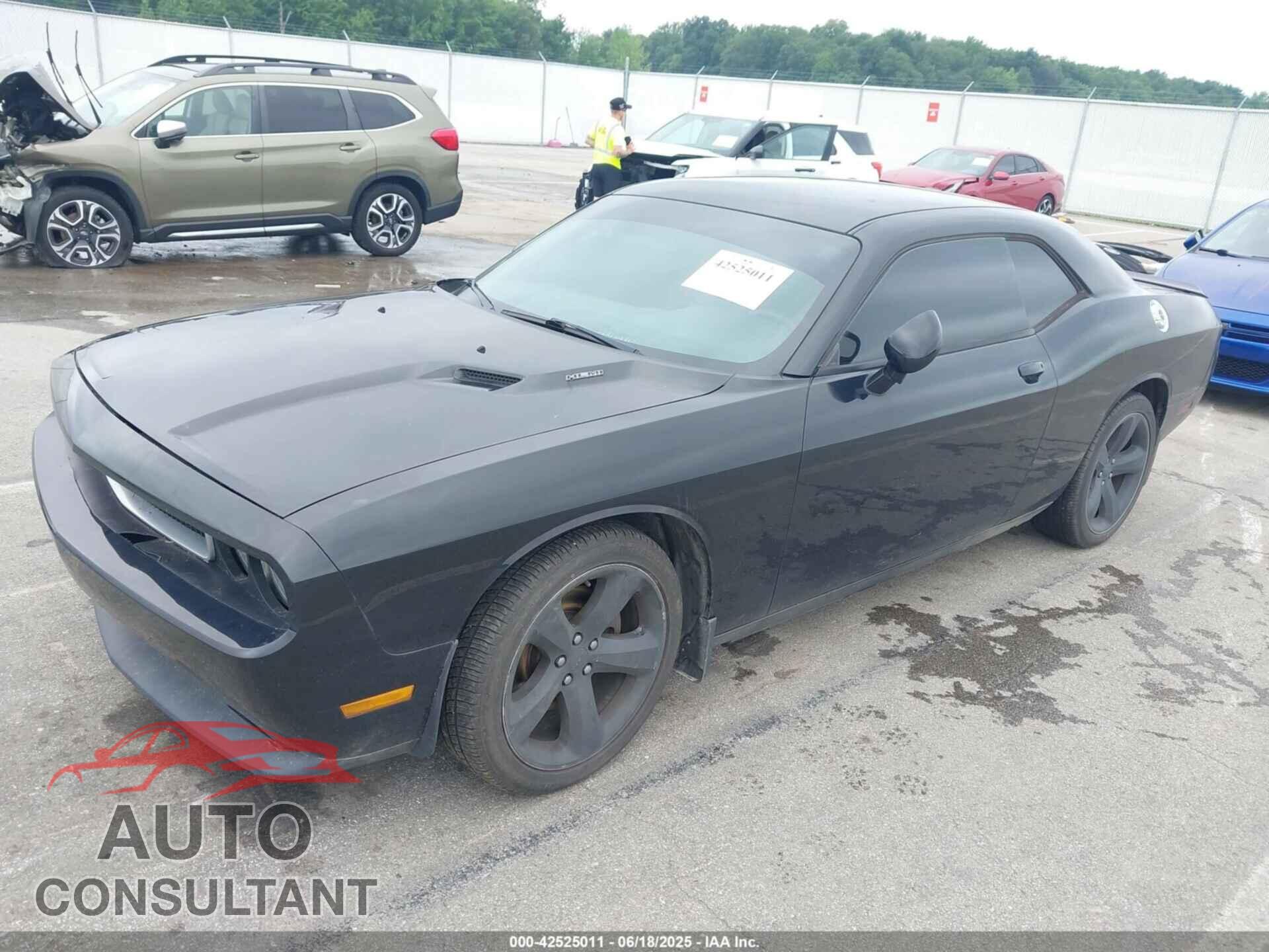 DODGE CHALLENGER 2014 - 2C3CDYBT9EH205332