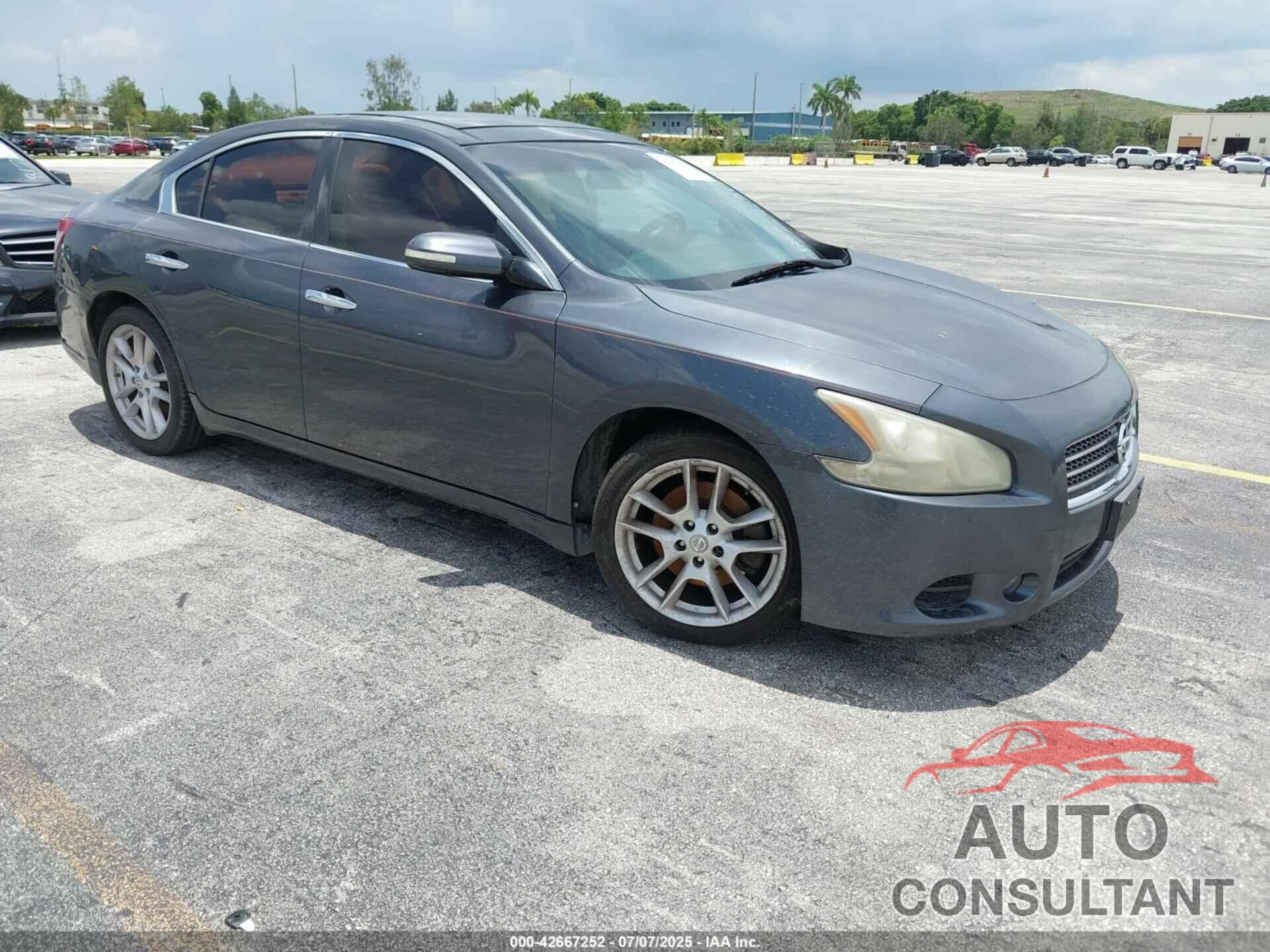 NISSAN MAXIMA 2009 - 1N4AA51E59C846909