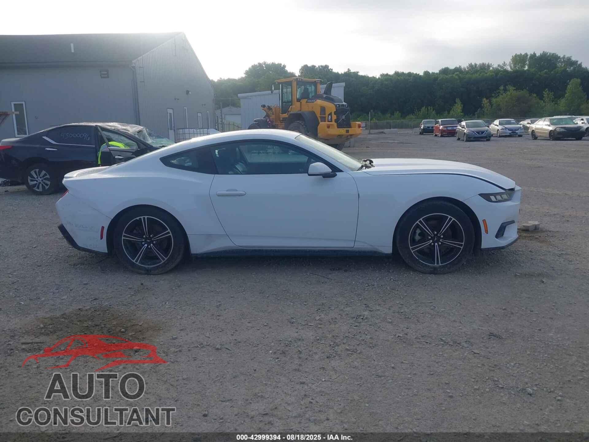 FORD MUSTANG 2024 - 1FA6P8TH2R5120975