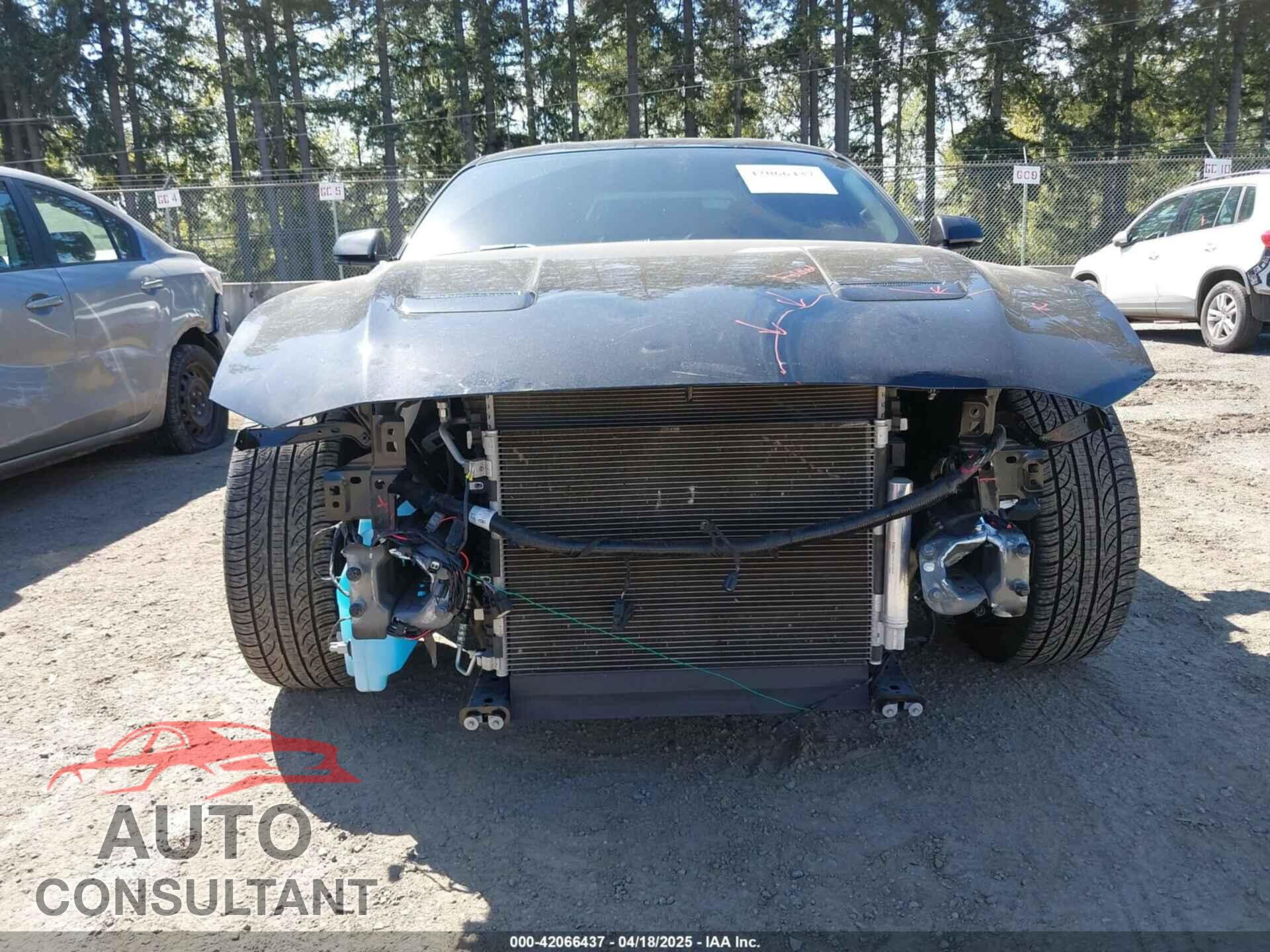 FORD MUSTANG 2020 - 1FA6P8CF9L5163585