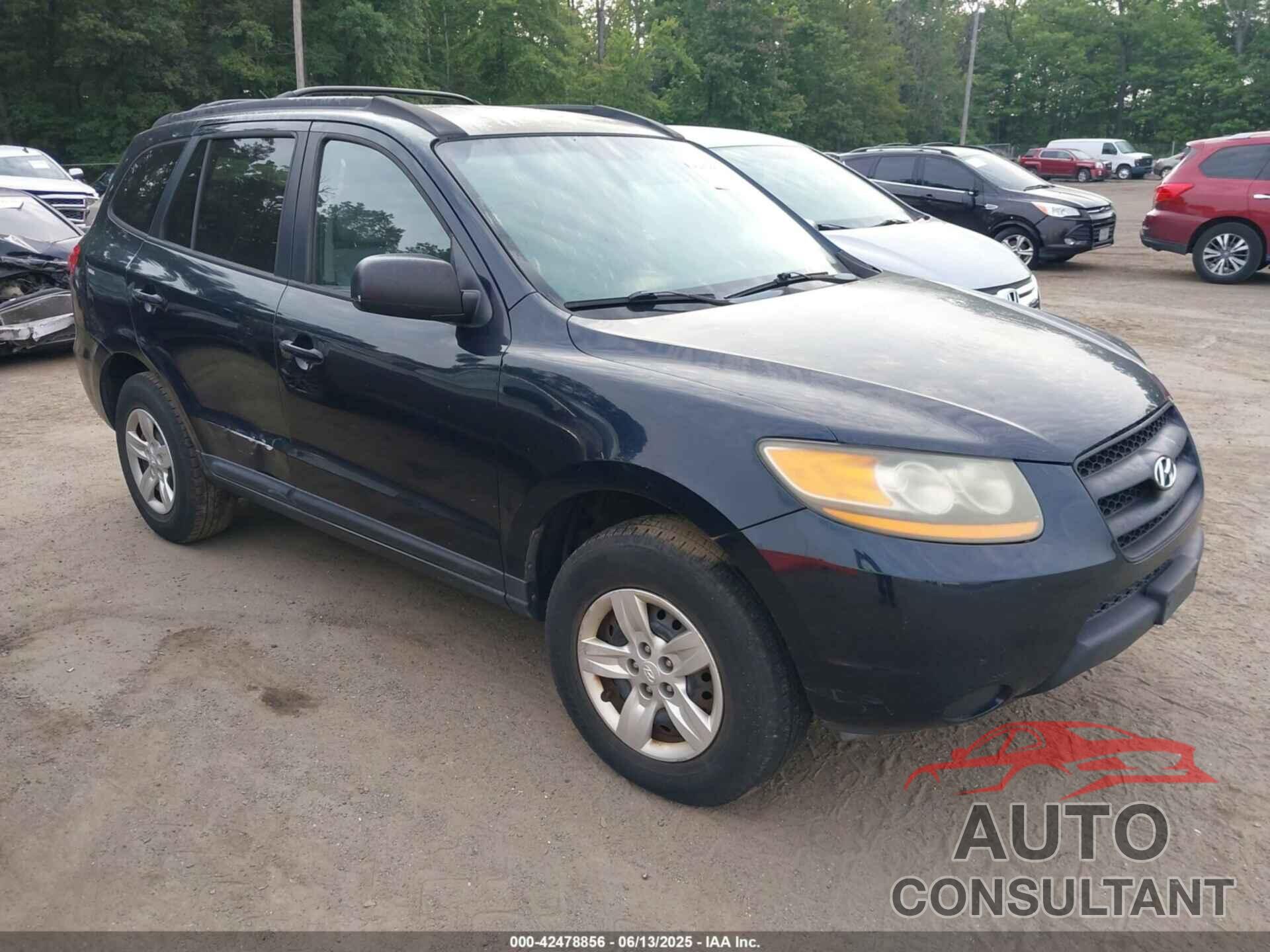 HYUNDAI SANTA FE 2009 - 5NMSG13D99H250200