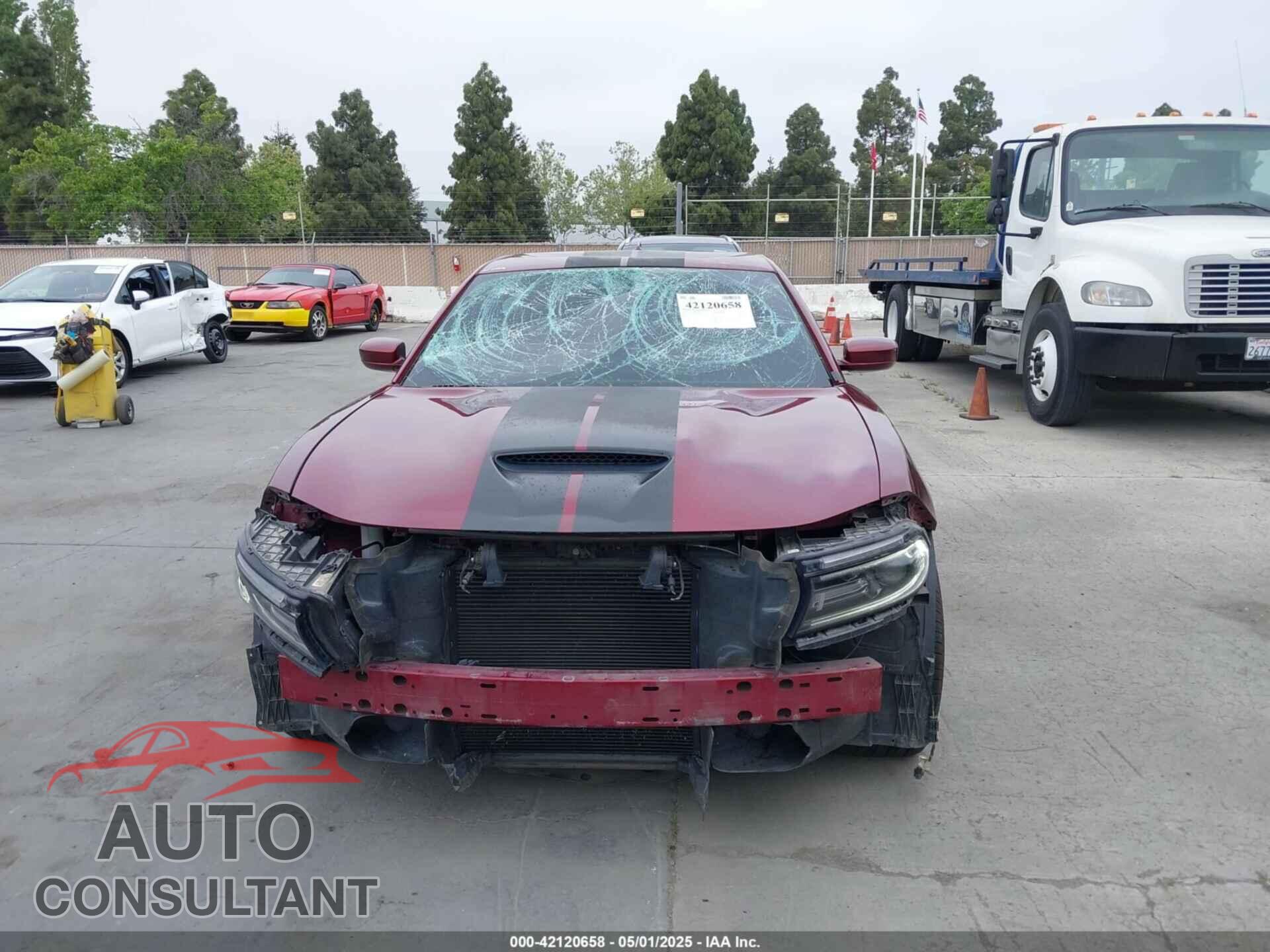 DODGE CHARGER 2019 - 2C3CDXCT2KH749207