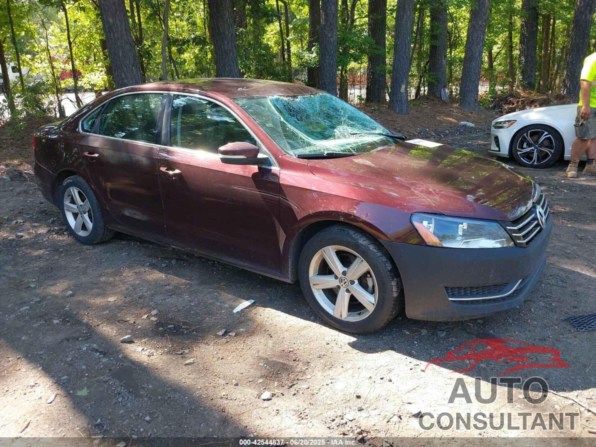 VOLKSWAGEN PASSAT 2013 - 1VWBP7A39DC034137