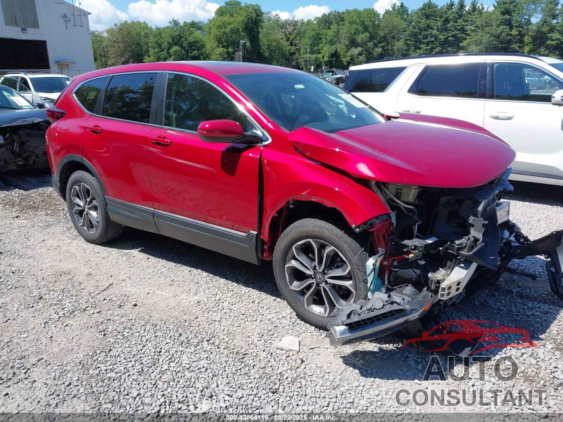 HONDA CR-V 2021 - 2HKRW2H56MH605974