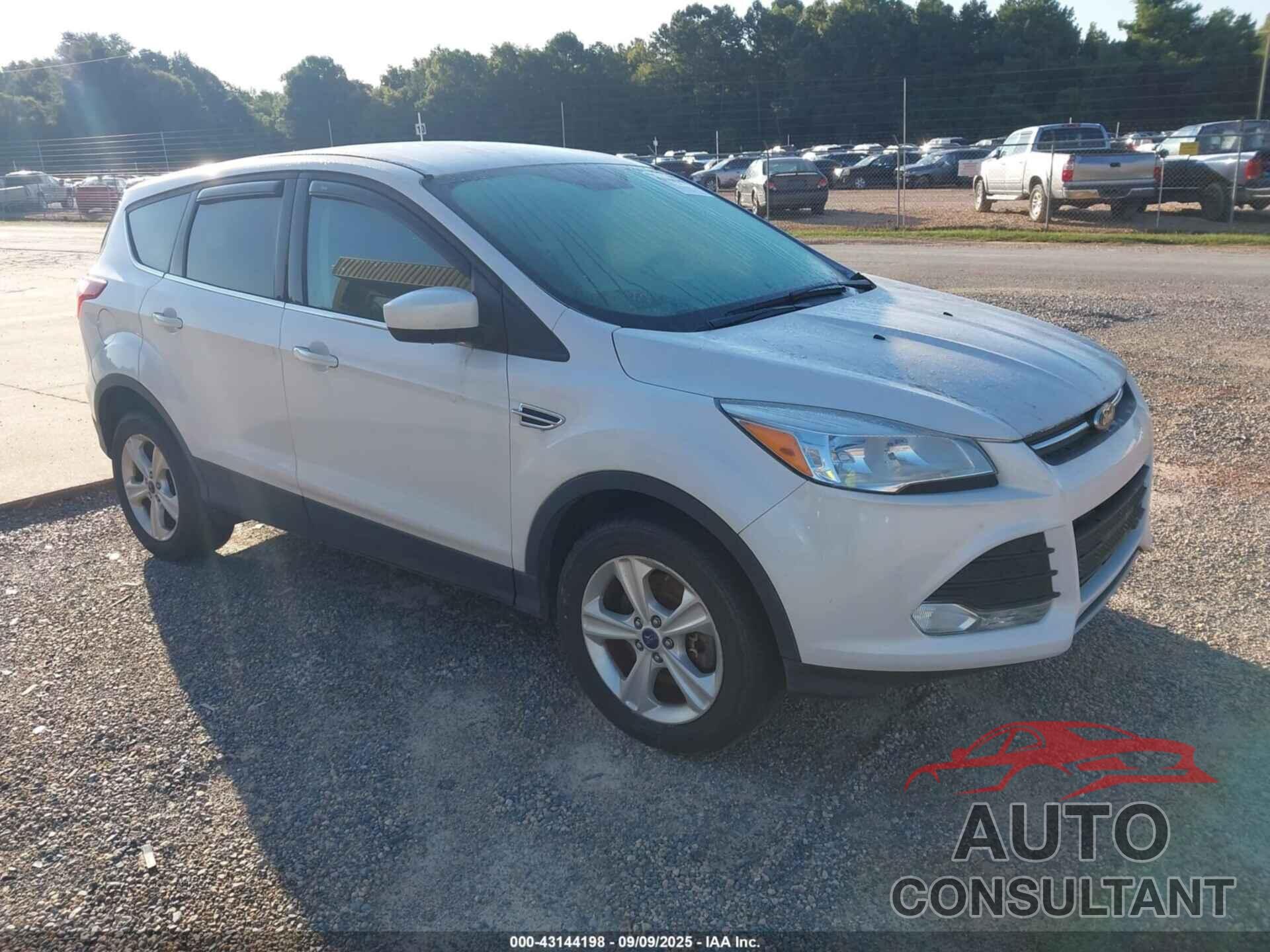 FORD ESCAPE 2016 - 1FMCU9GX4GUC54432