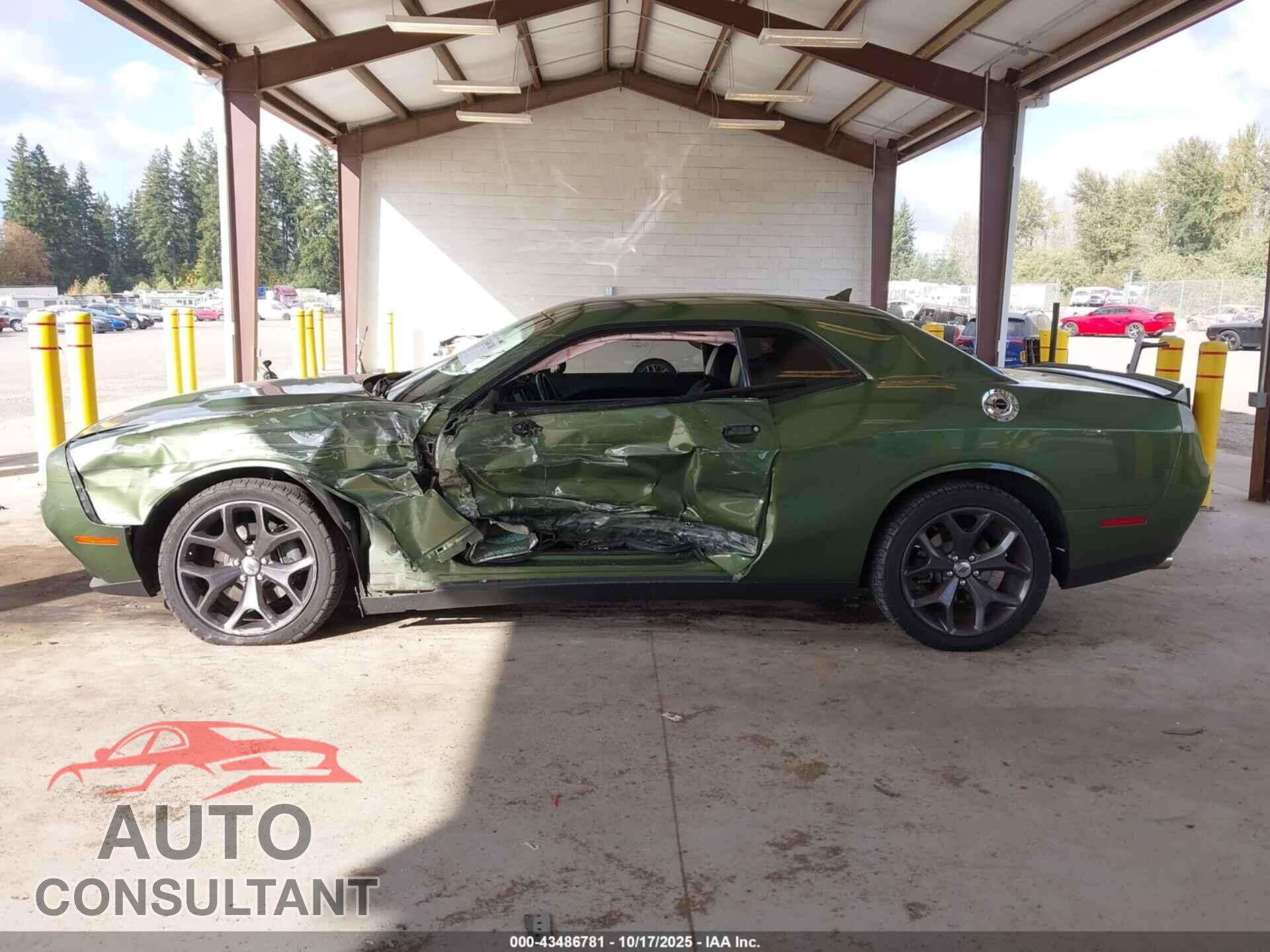 DODGE CHALLENGER 2019 - 2C3CDZAG2KH551289