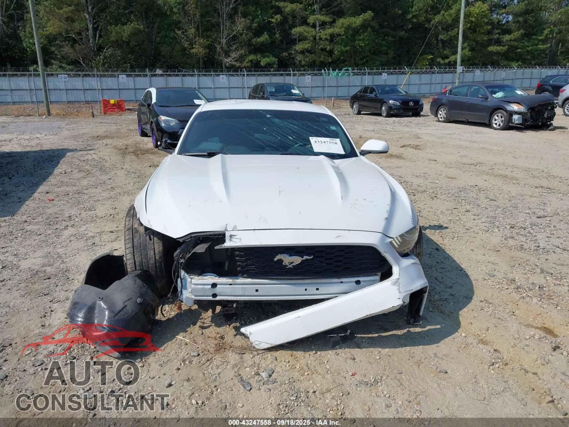 FORD MUSTANG 2016 - 1FA6P8AM7G5241160