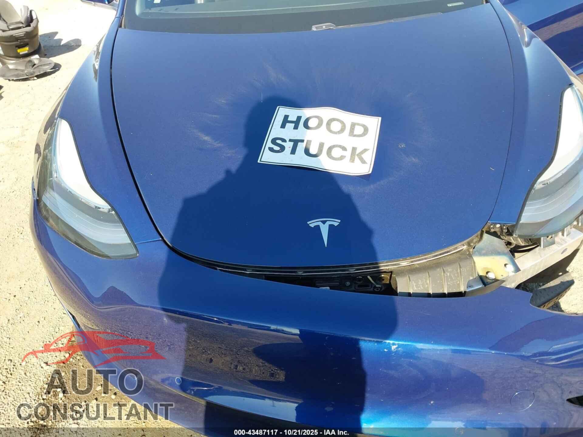 TESLA MODEL 3 2019 - 5YJ3E1EB4KF387381