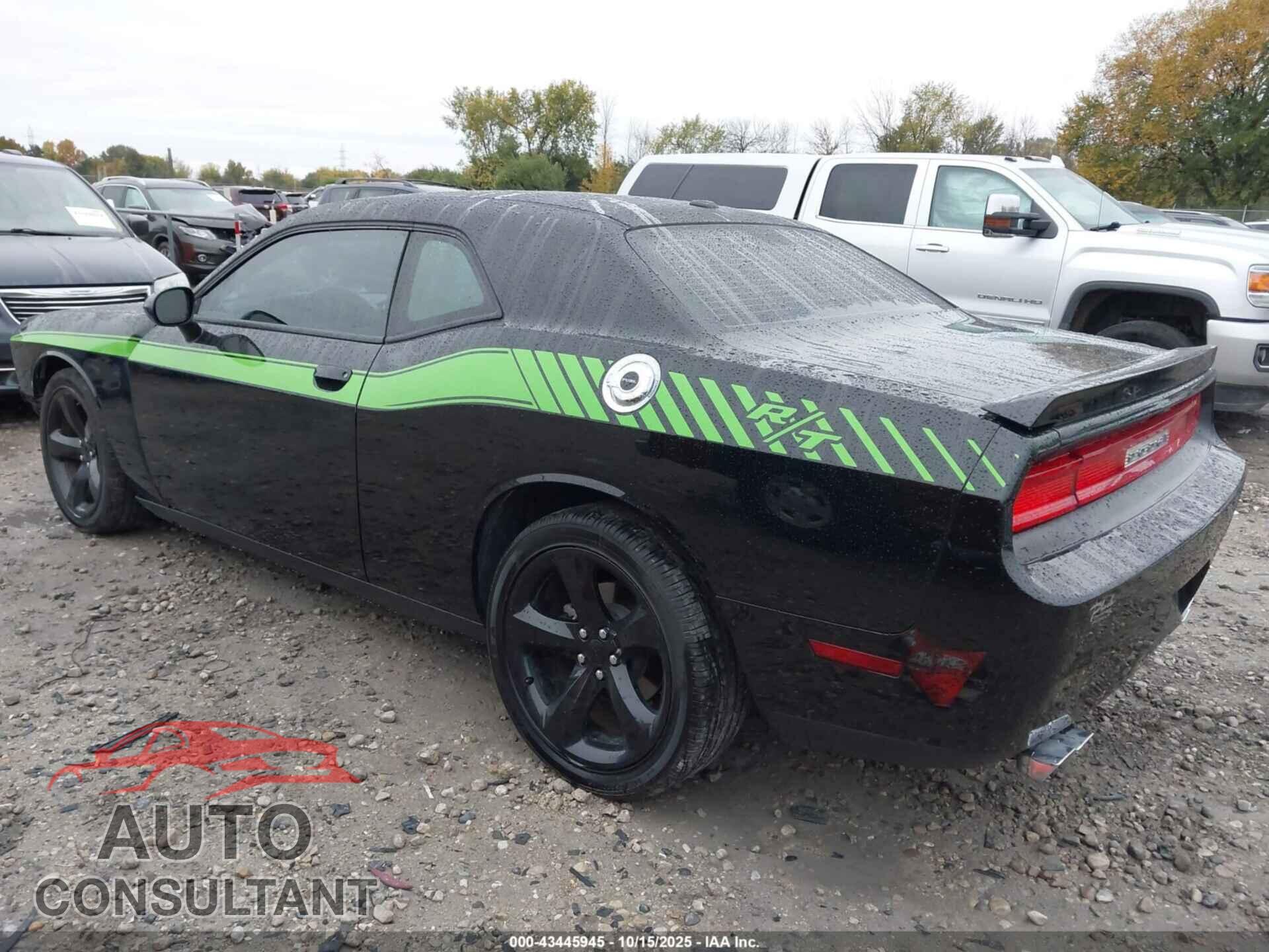 DODGE CHALLENGER 2014 - 2C3CDYAG0EH311446