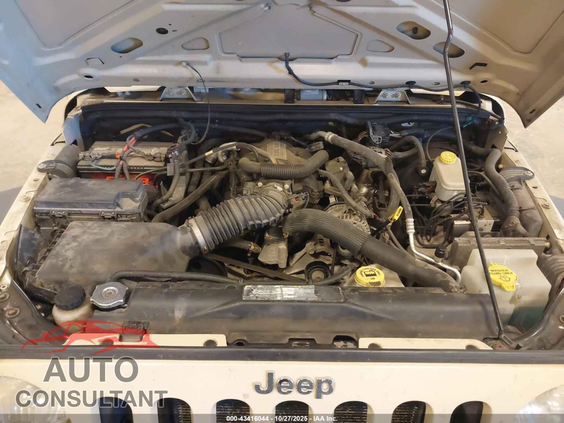JEEP WRANGLER 2011 - 1J4AA2D13BL529745