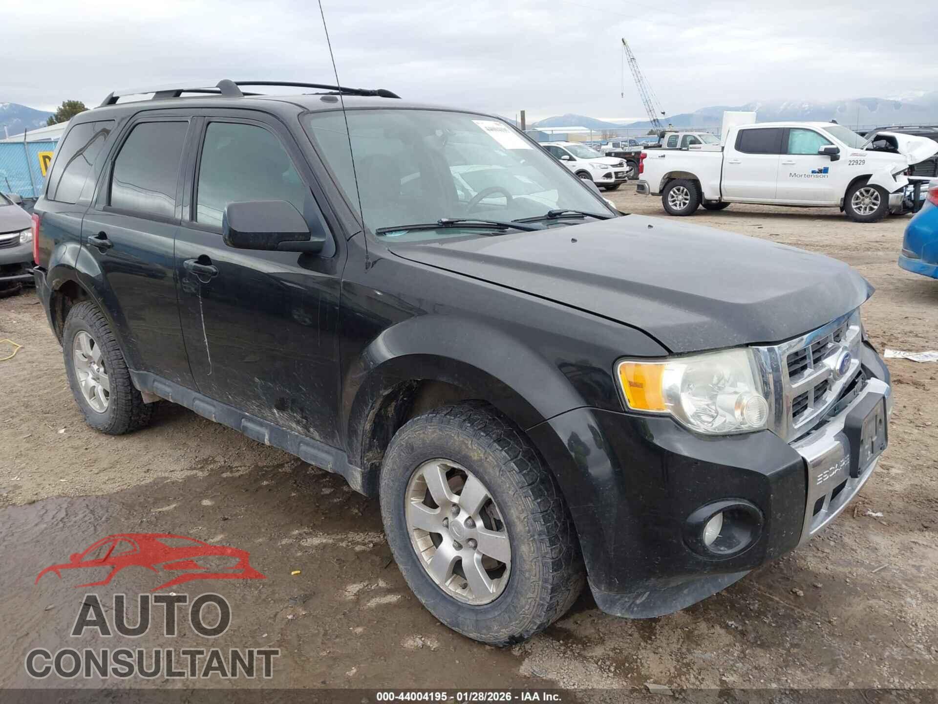 FORD ESCAPE 2011 - 1FMCU9EG1BKC24389