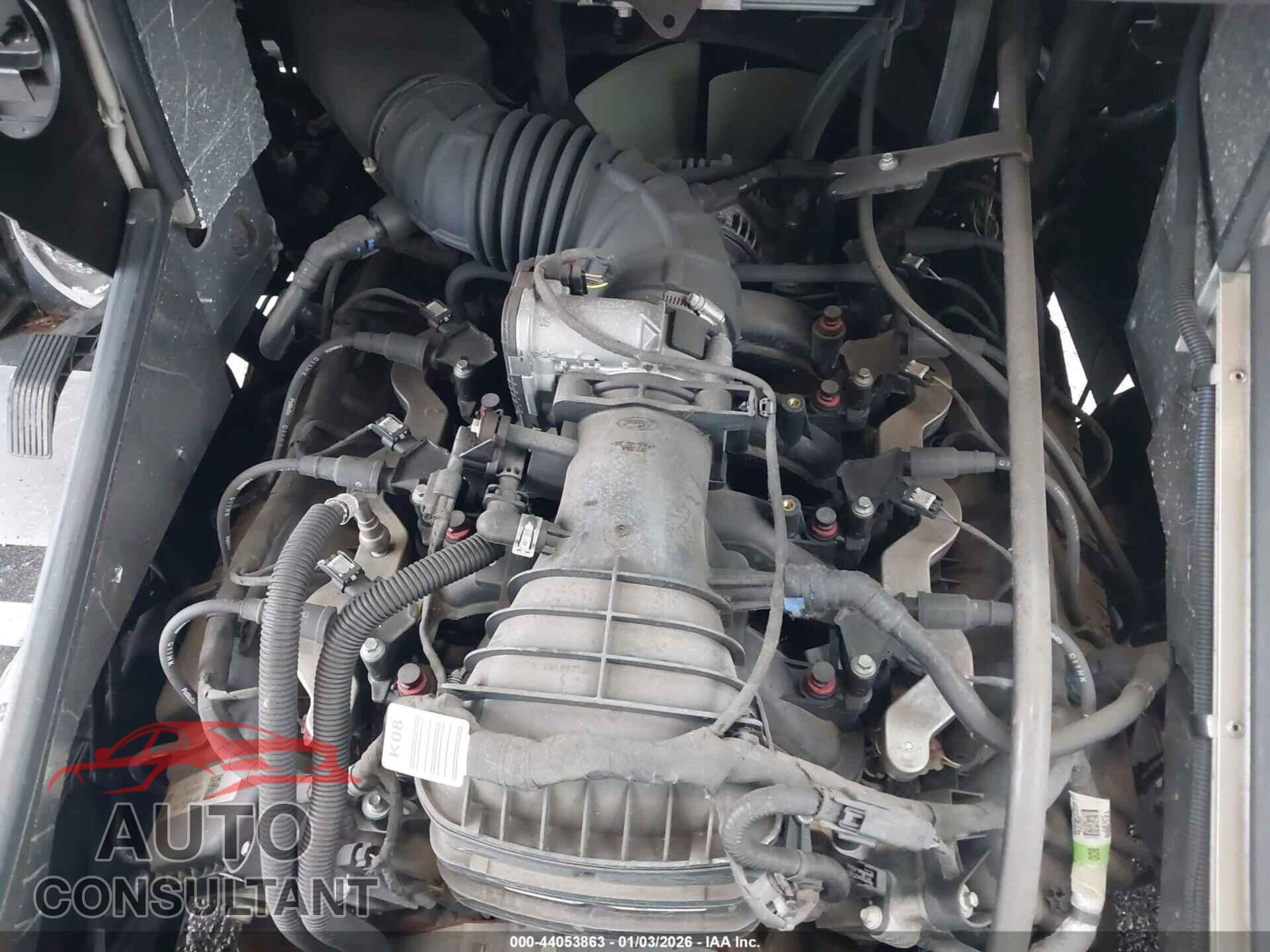 FORD E-450 STRIPPED 2019 - 1FC3E4K63KDC48438